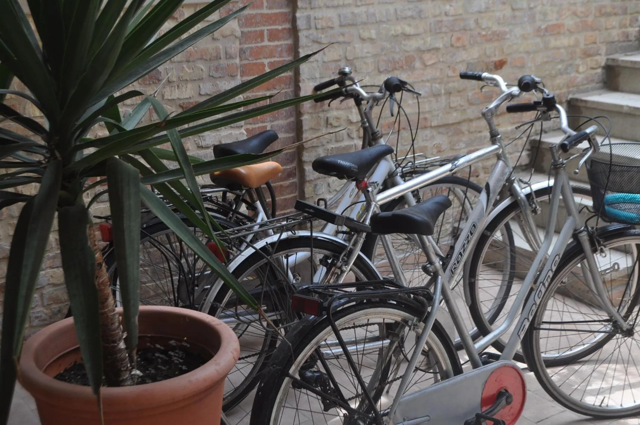 Cycling in B&B Fontanella 32