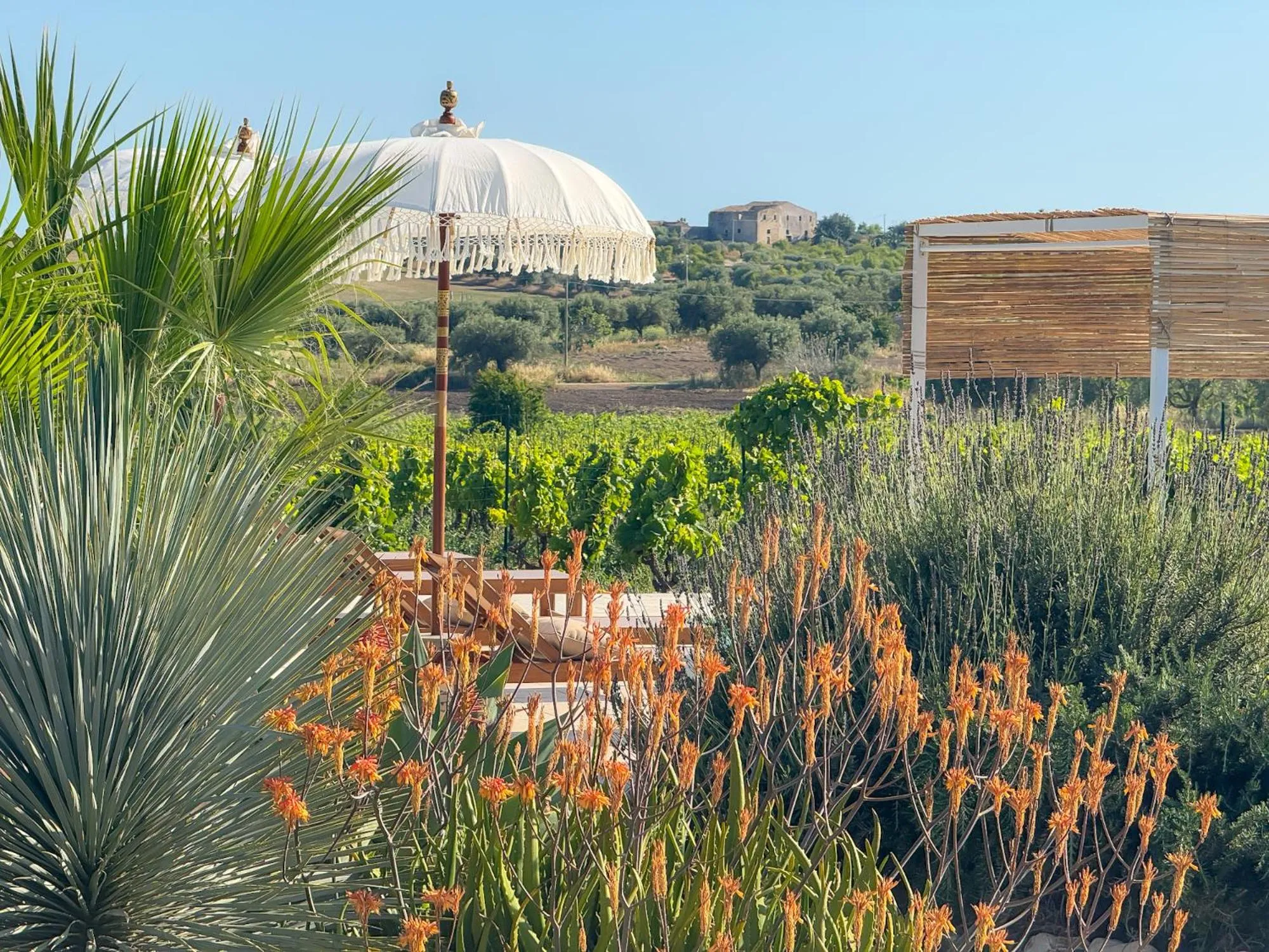 sunbed in Dimora Calauriia - Adults Only