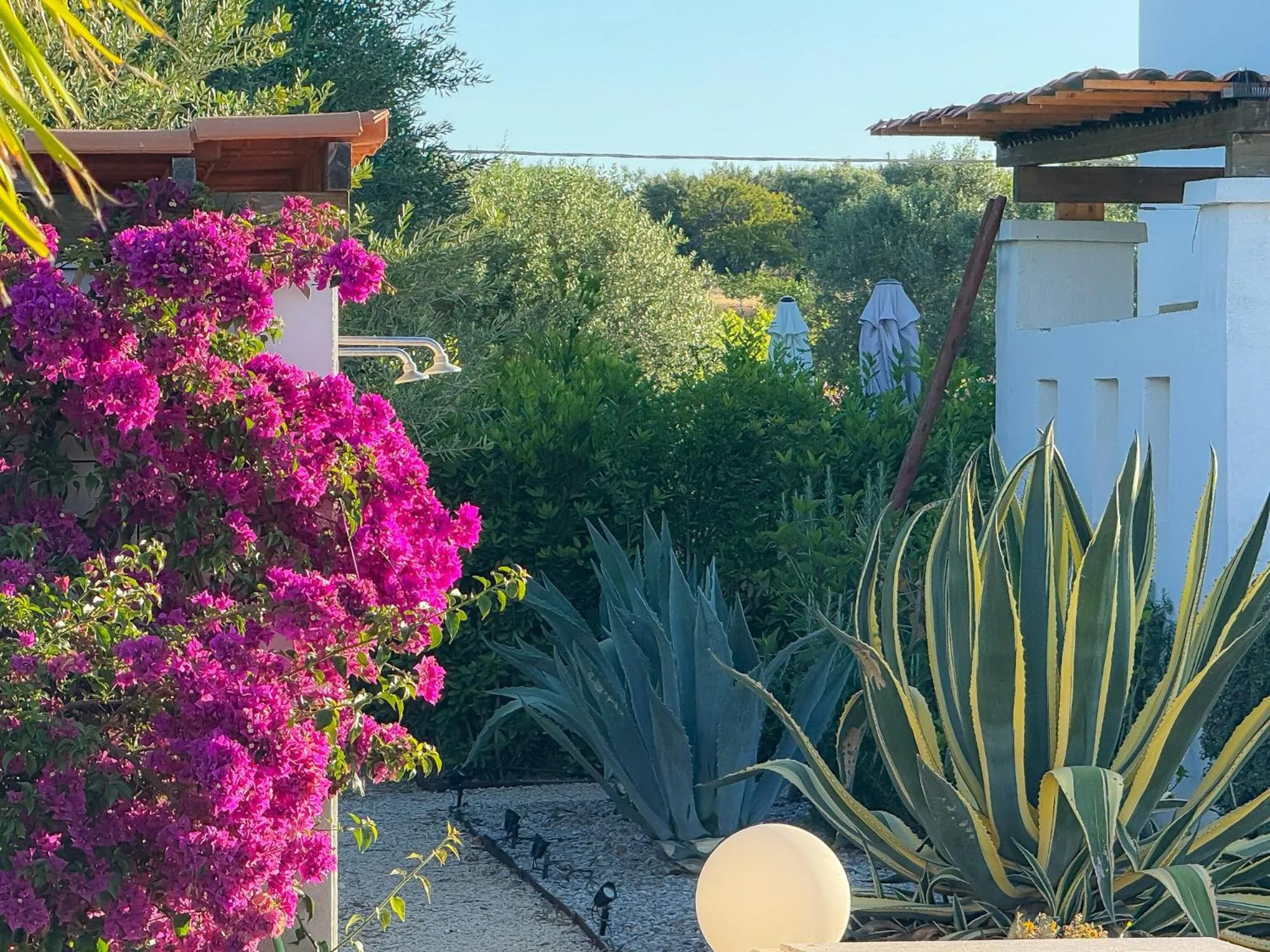 Garden in Dimora Calauriia - Adults Only