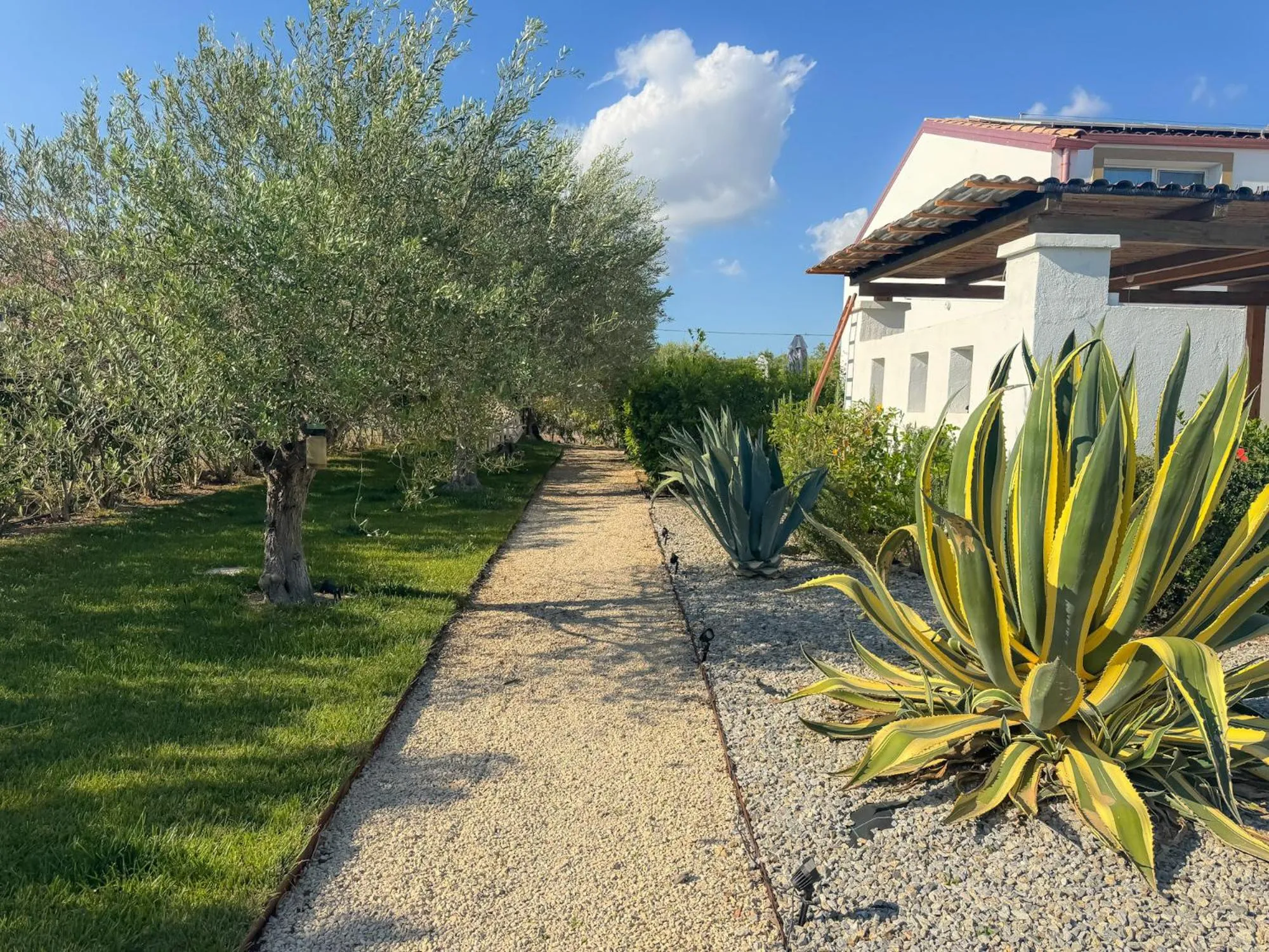 Garden in Dimora Calauriia - Adults Only