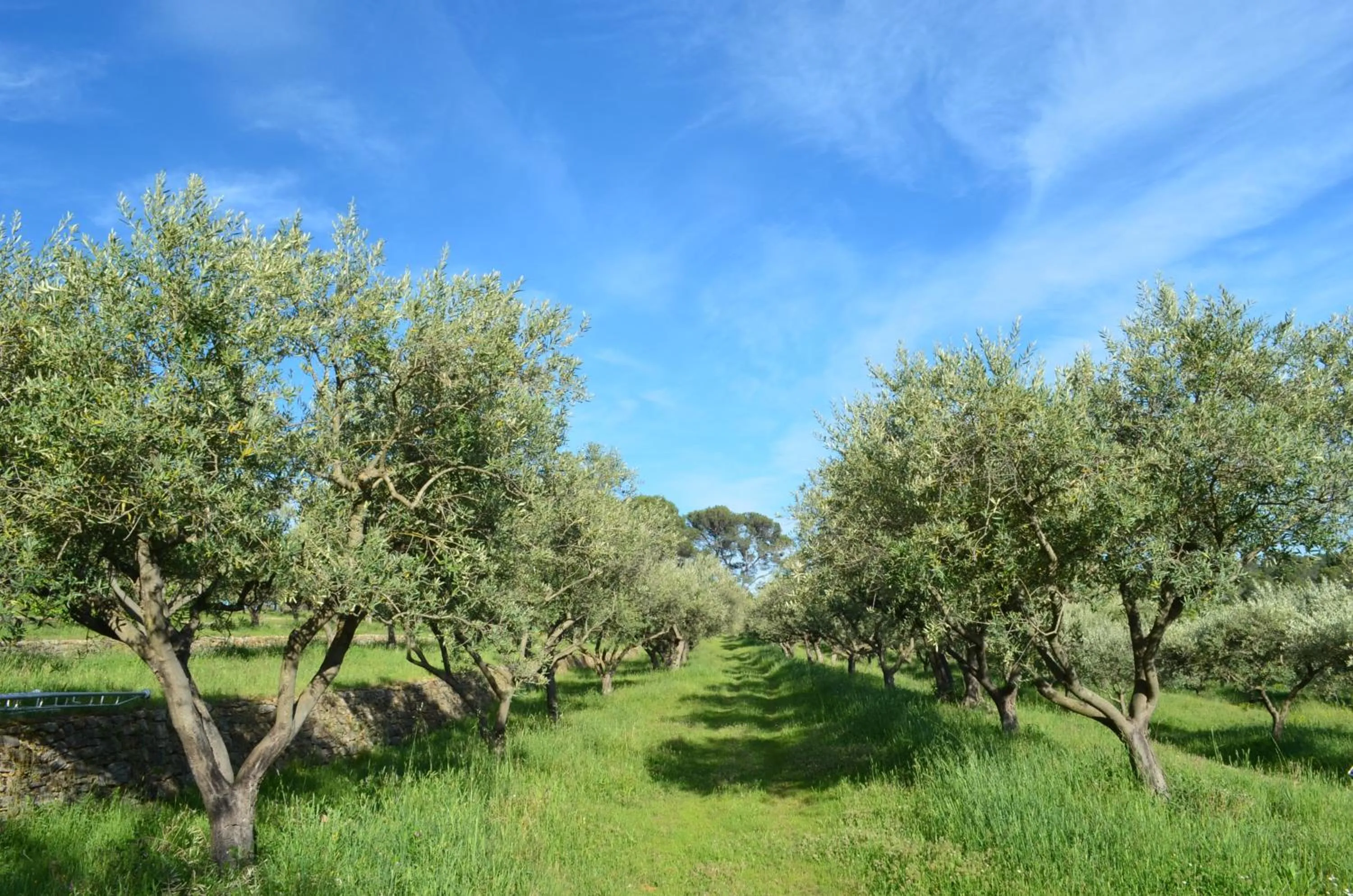 Hiking in Le Barretian