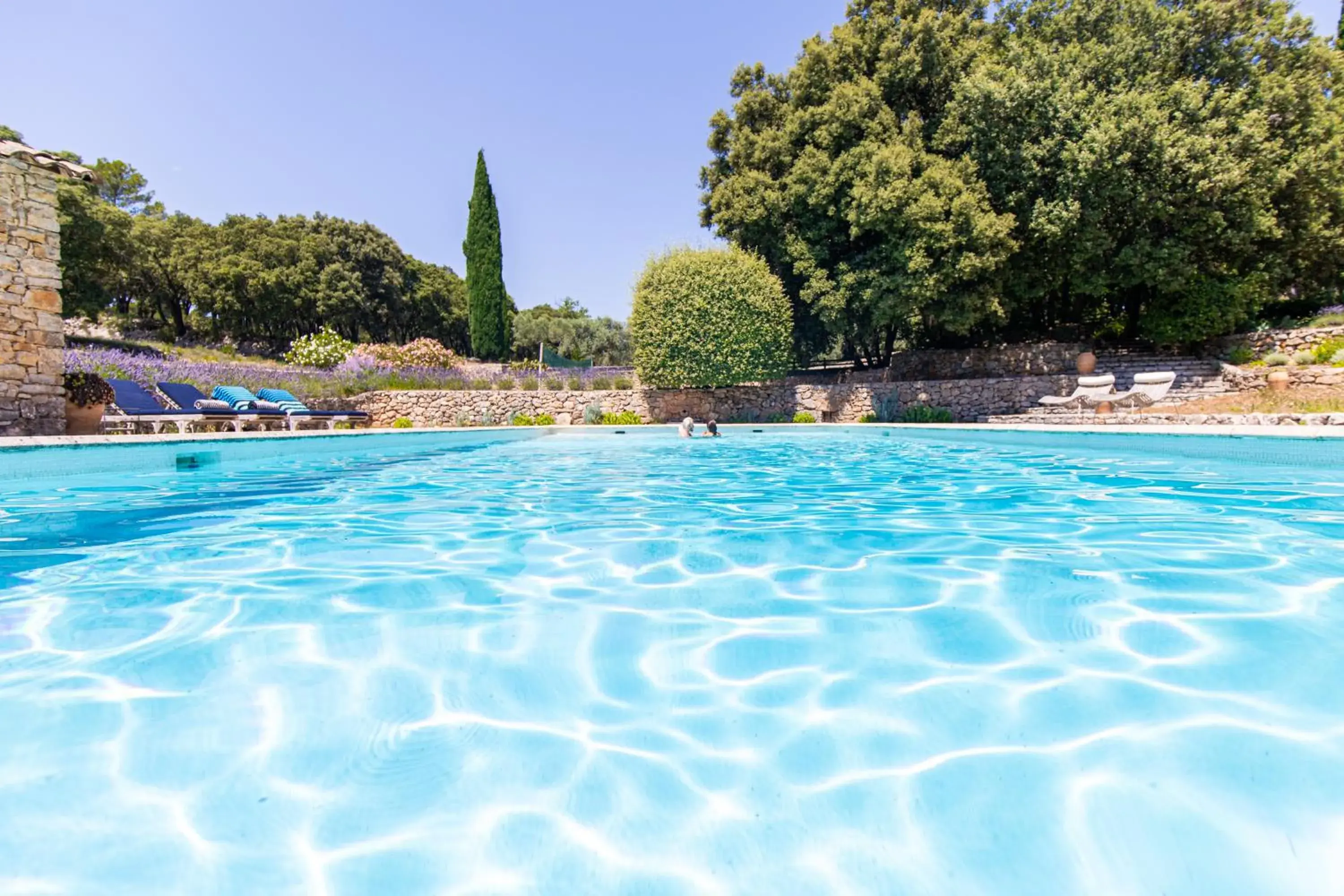 Le Barretian Le Barretian