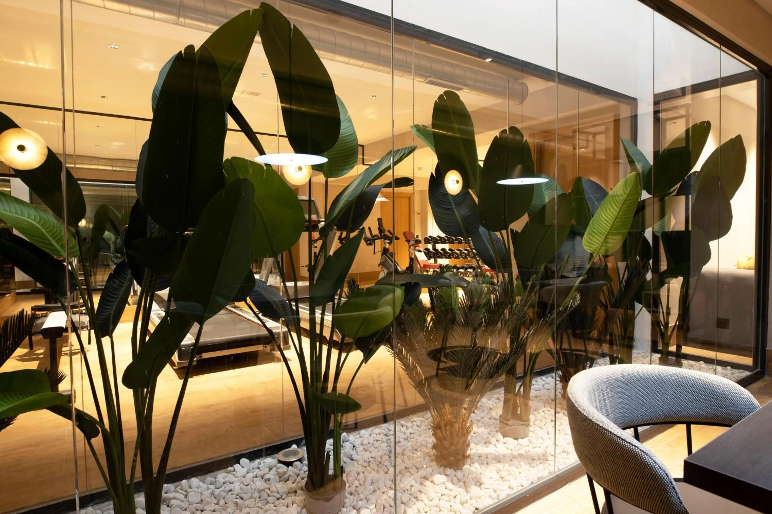 Area and facilities in Goodnight Cádiz Apartments