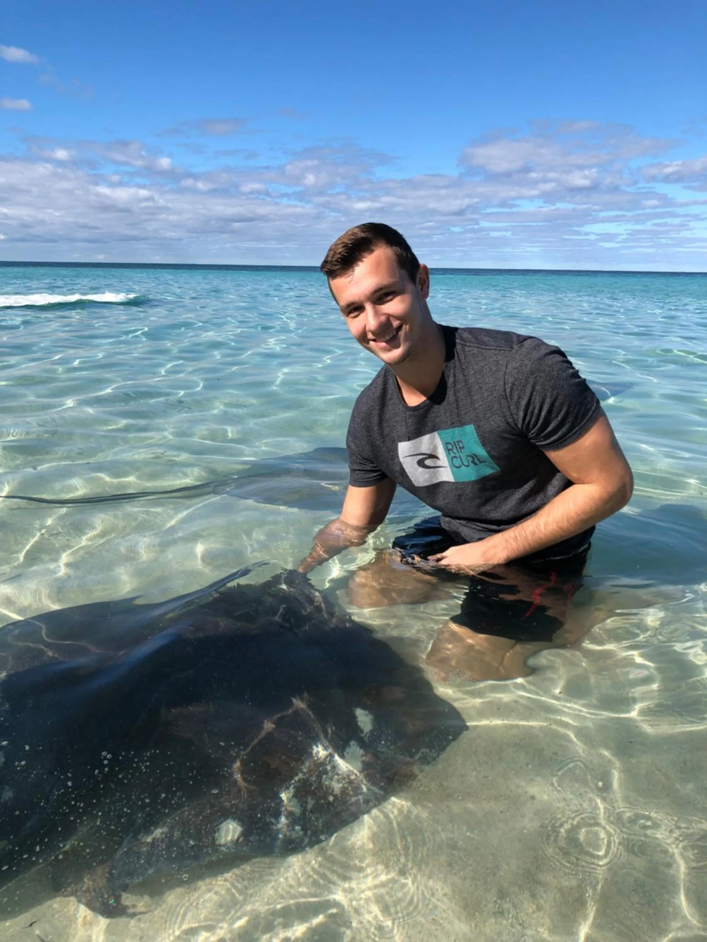 Activities in Dolphin Cove