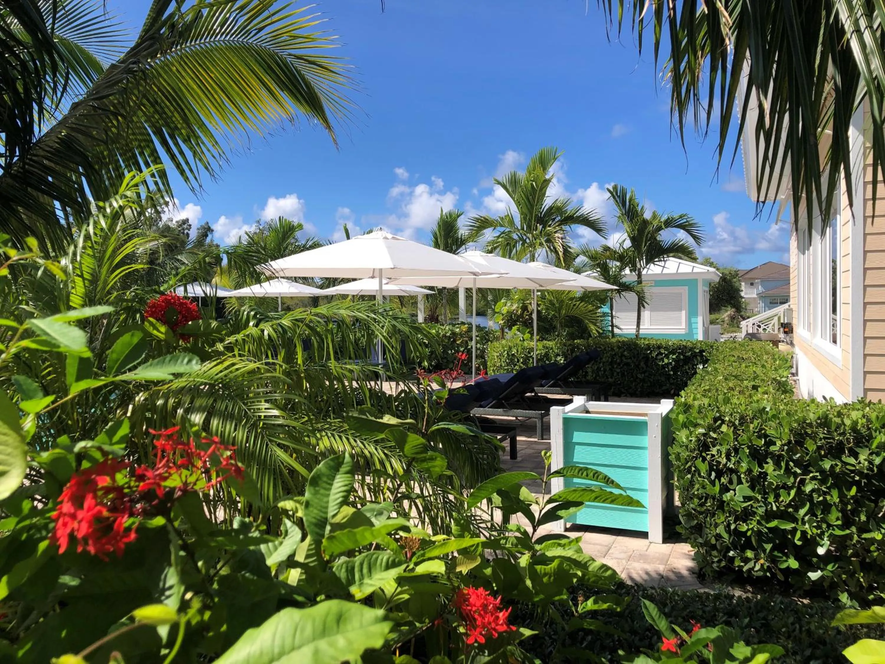 Swimming pool in Dolphin Cove