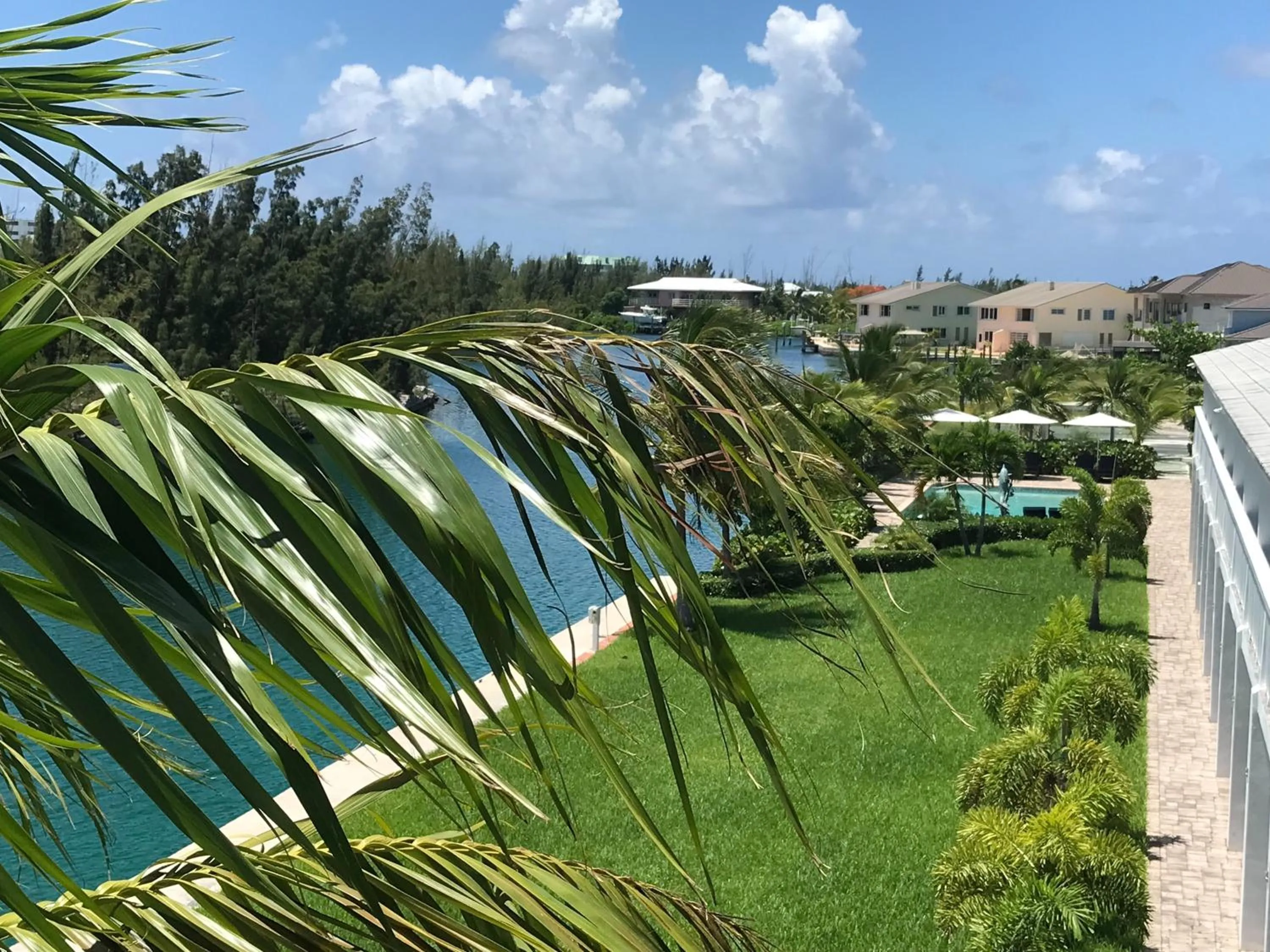 View (from property/room) in Dolphin Cove