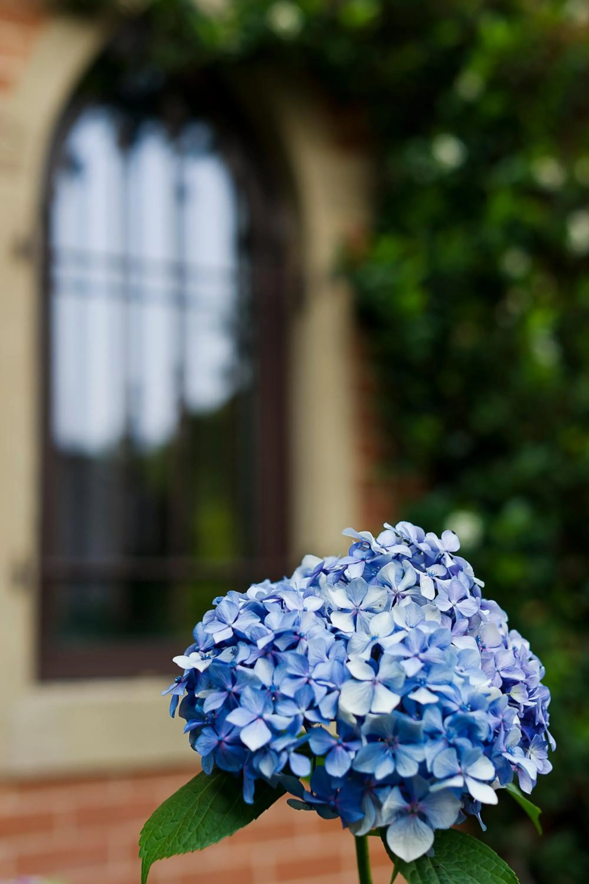 Decorative detail in B&B Torre Lara