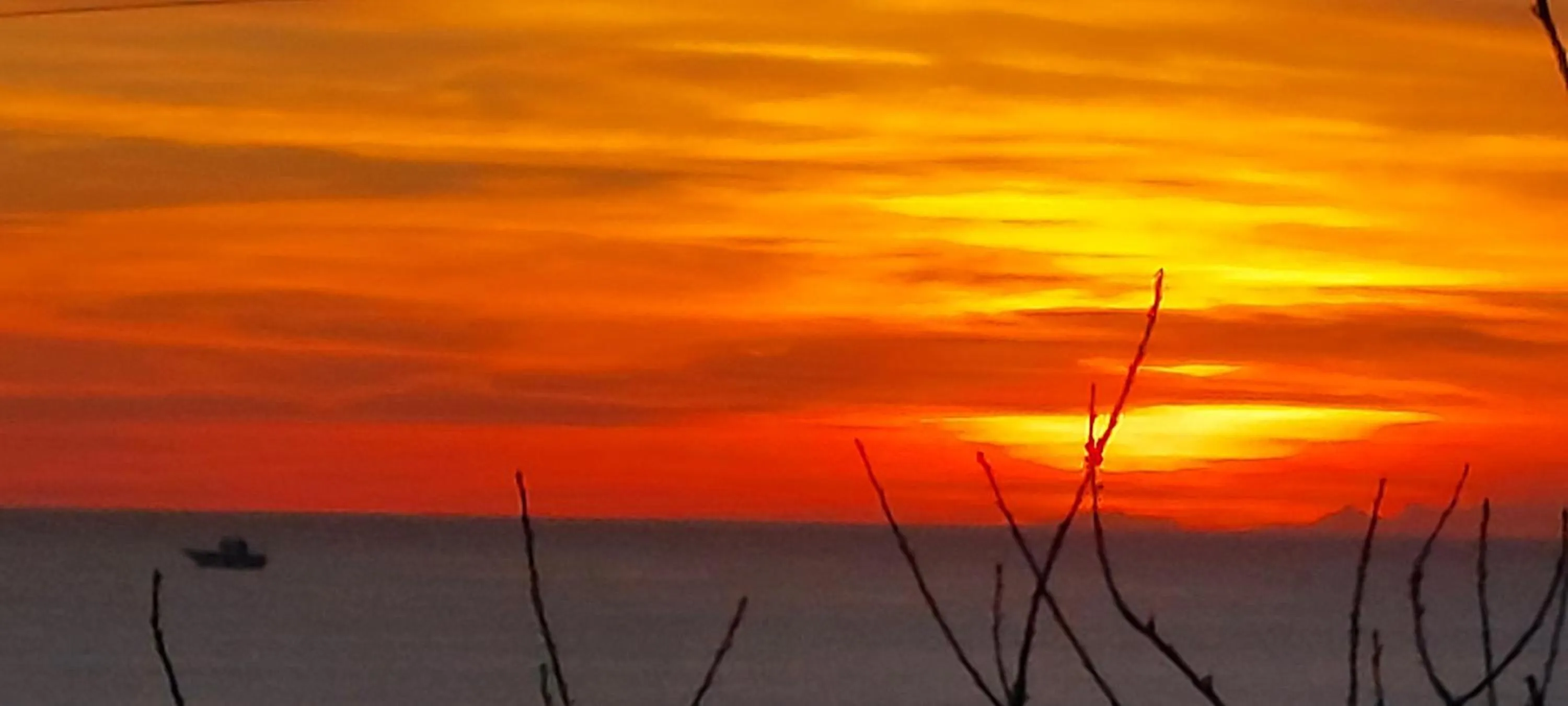 Natural landscape in Bellavista Versilia
