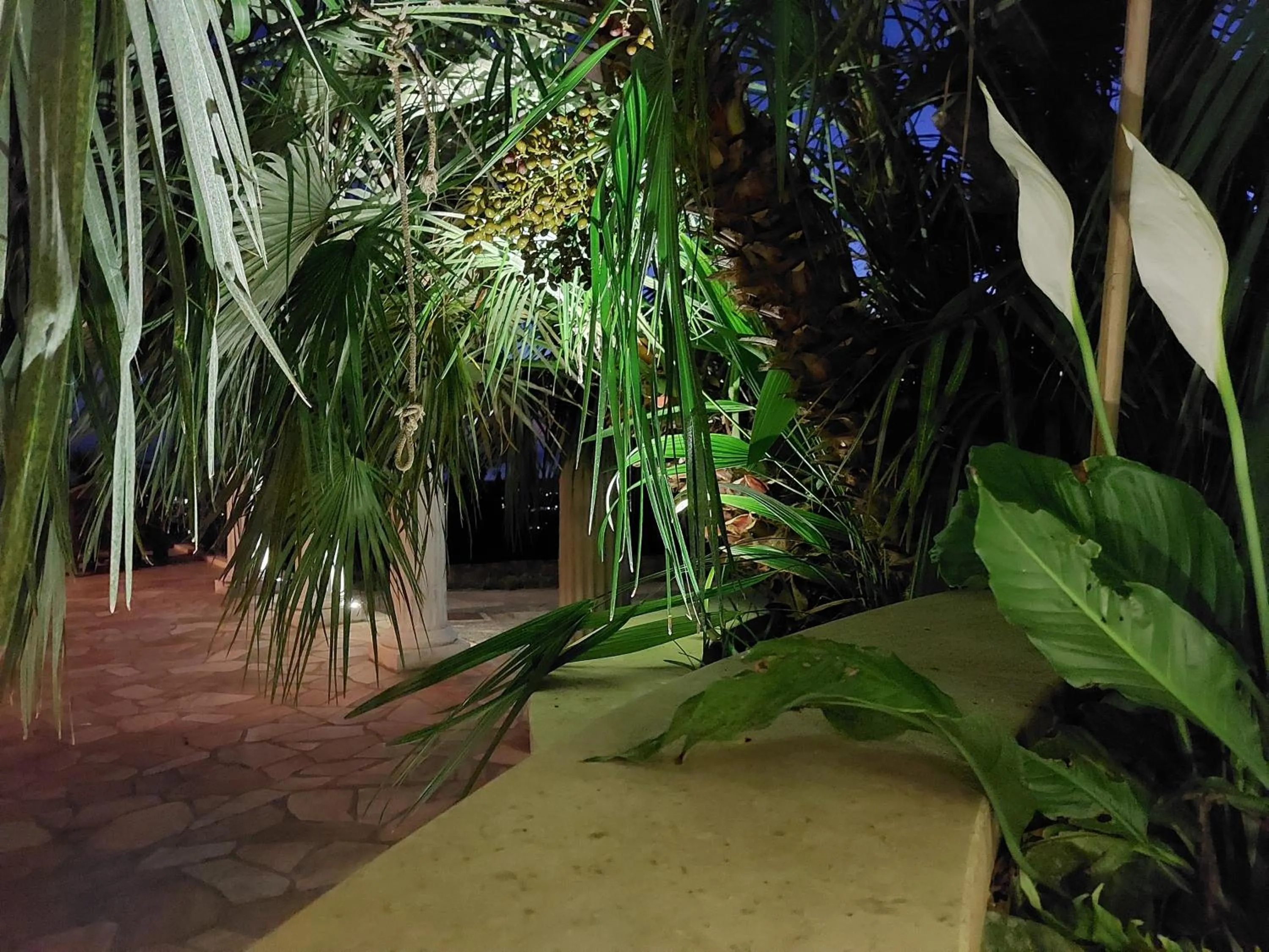 Night in Bellavista Versilia