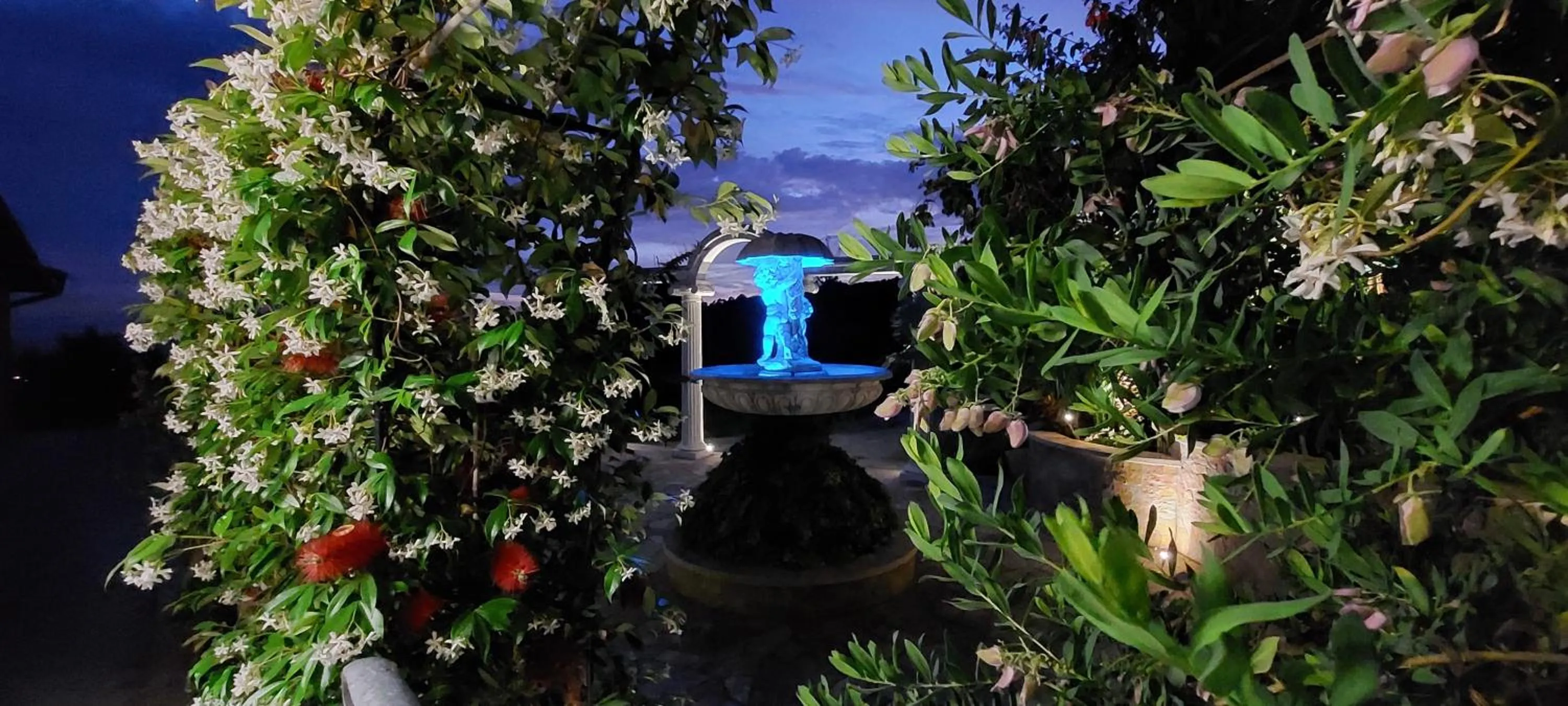 Night in Bellavista Versilia