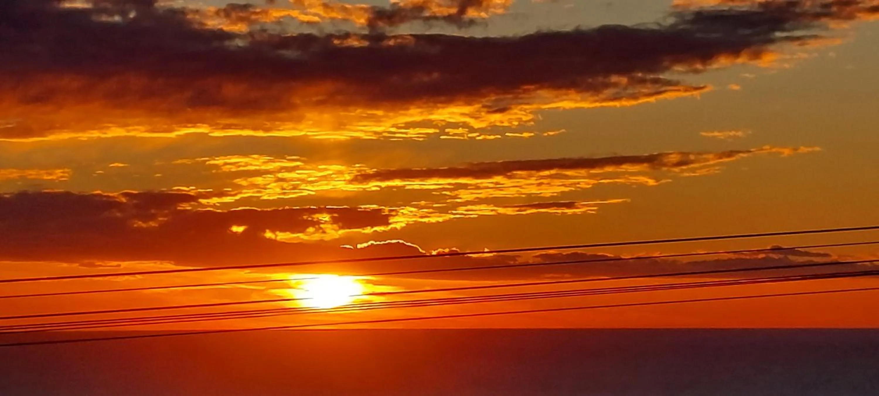 Natural landscape in Bellavista Versilia