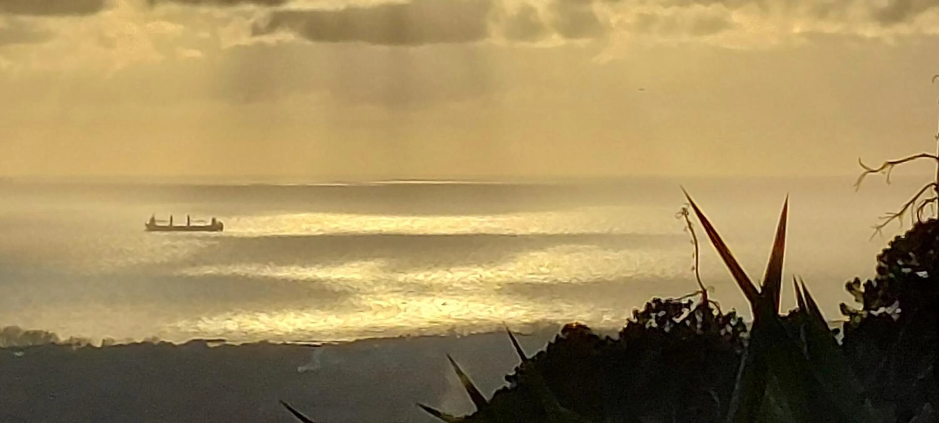 Day in Bellavista Versilia