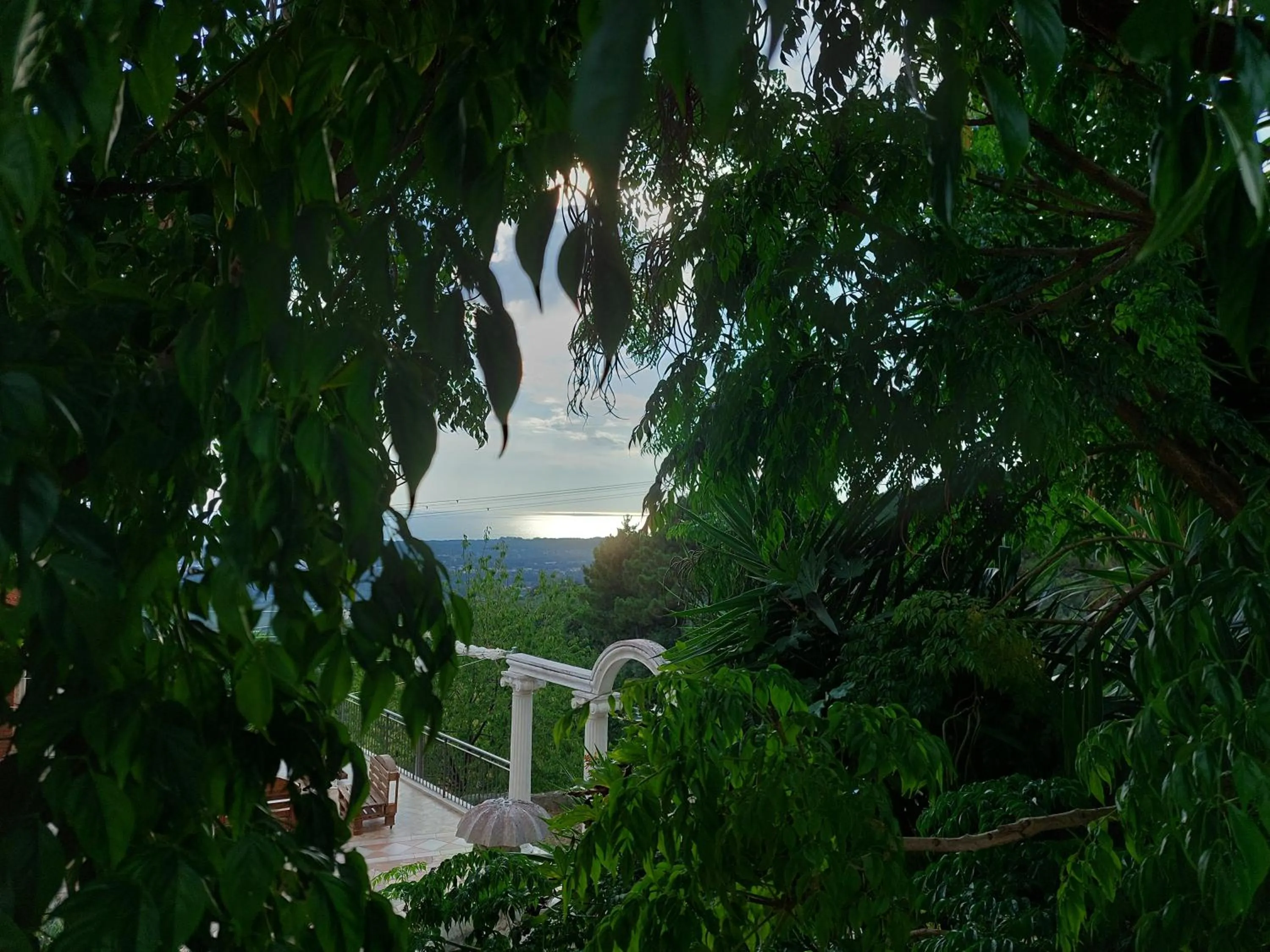 Day in Bellavista Versilia