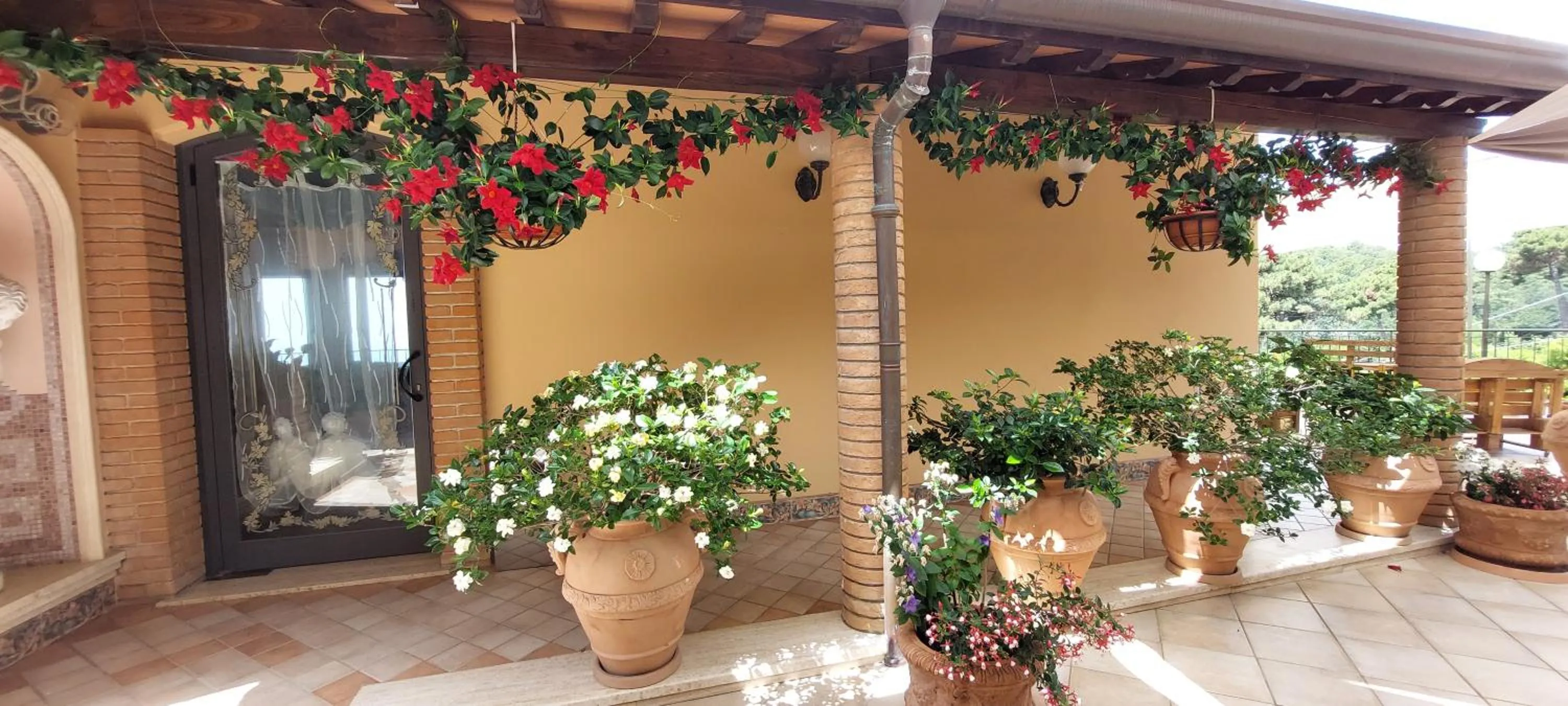 Property building in Bellavista Versilia