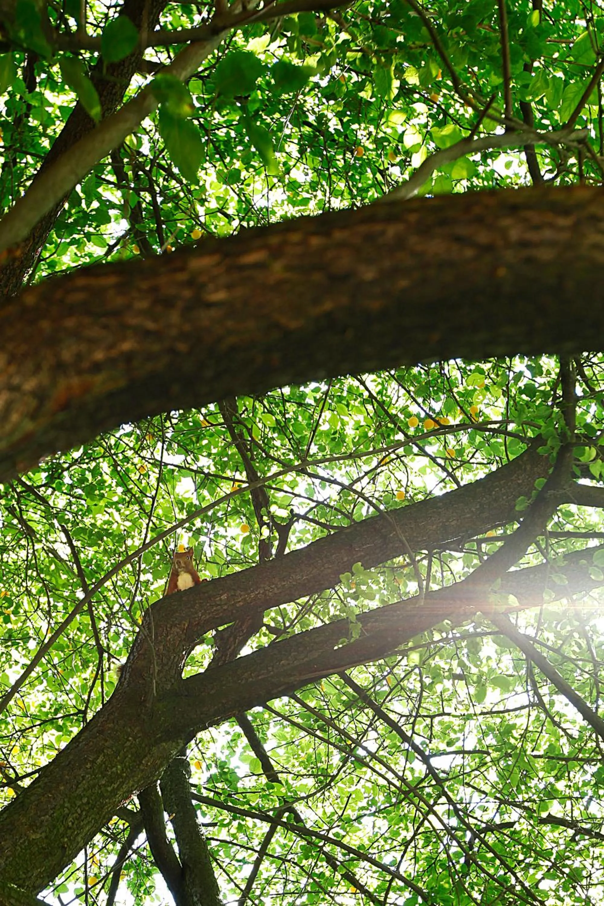 Boulevard Hotel Hamburg