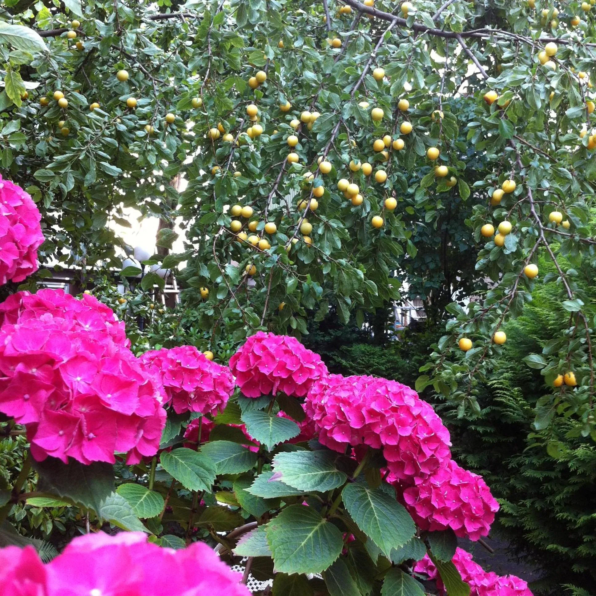 Spring in Boulevard Hotel Hamburg