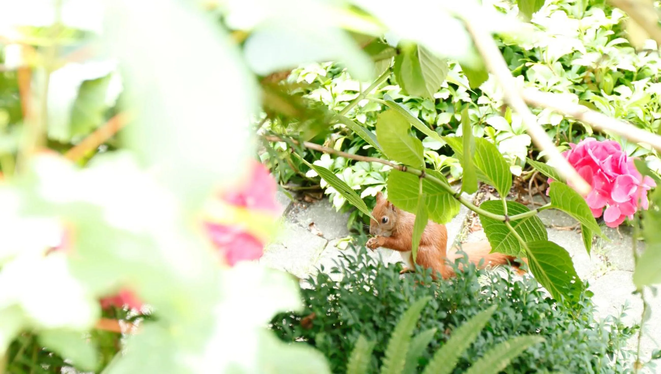 Animals in Boulevard Hotel Hamburg