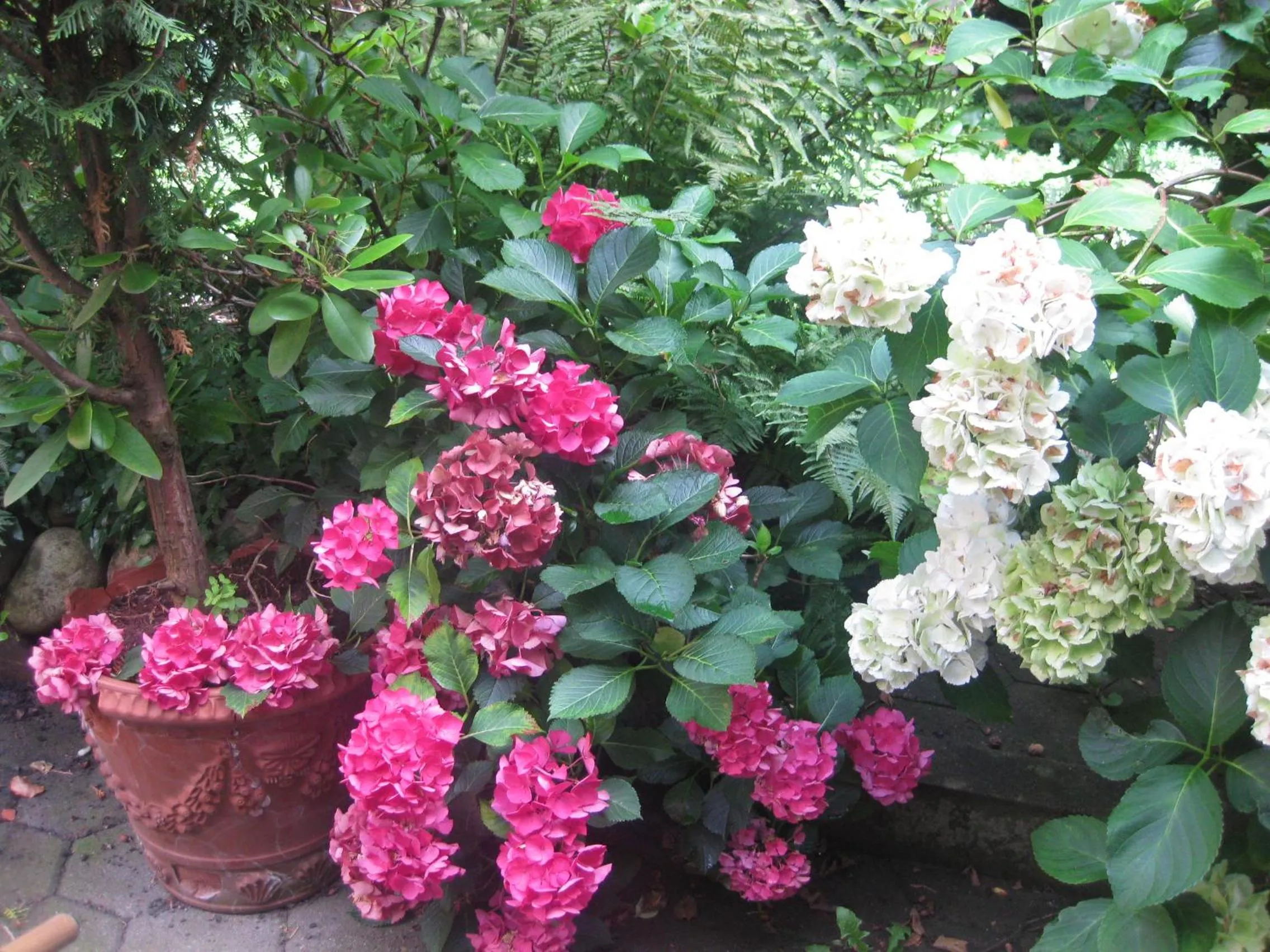 Boulevard Hotel Hamburg