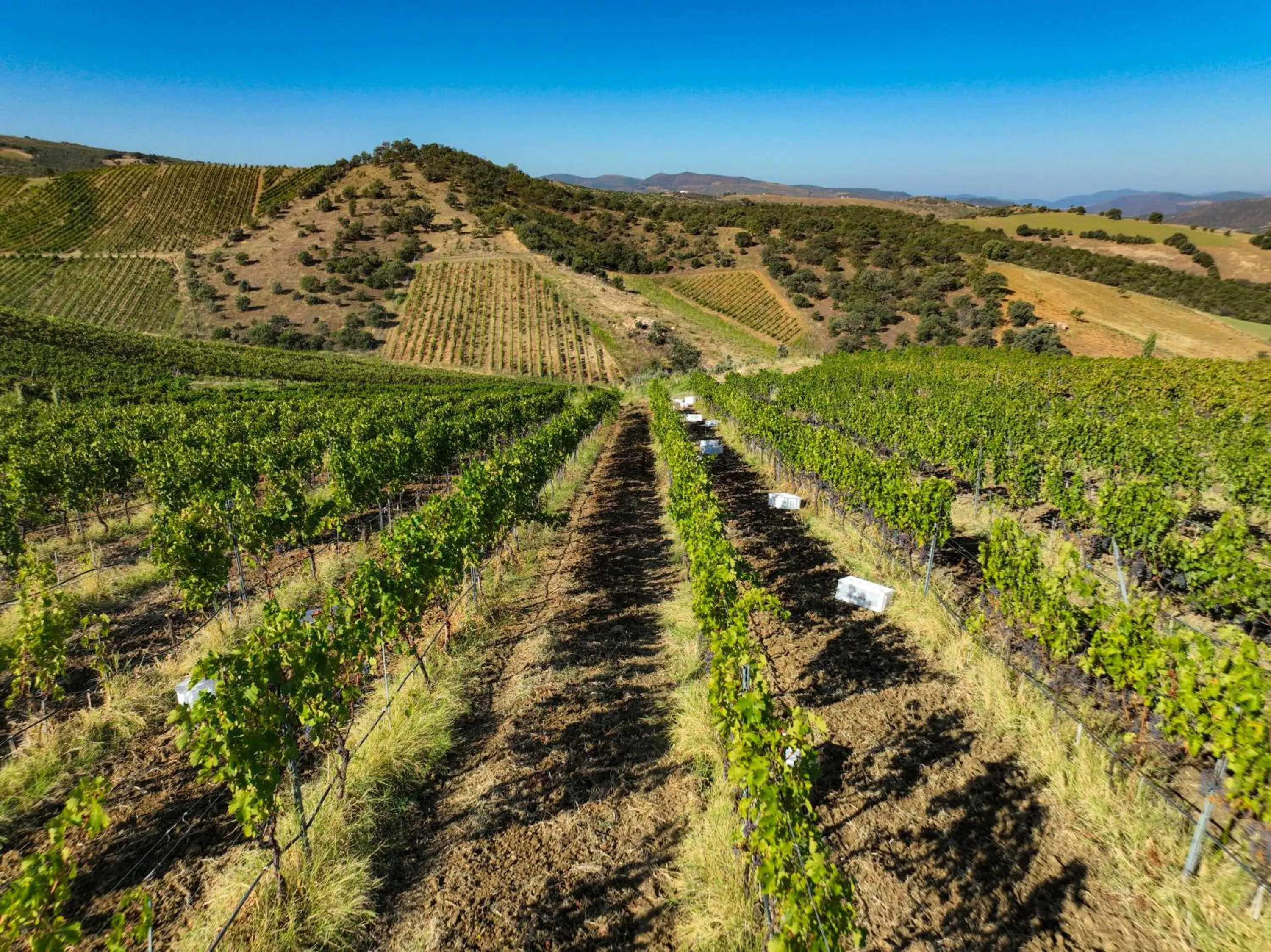 Natural landscape in Bengodi Boutique Hotel