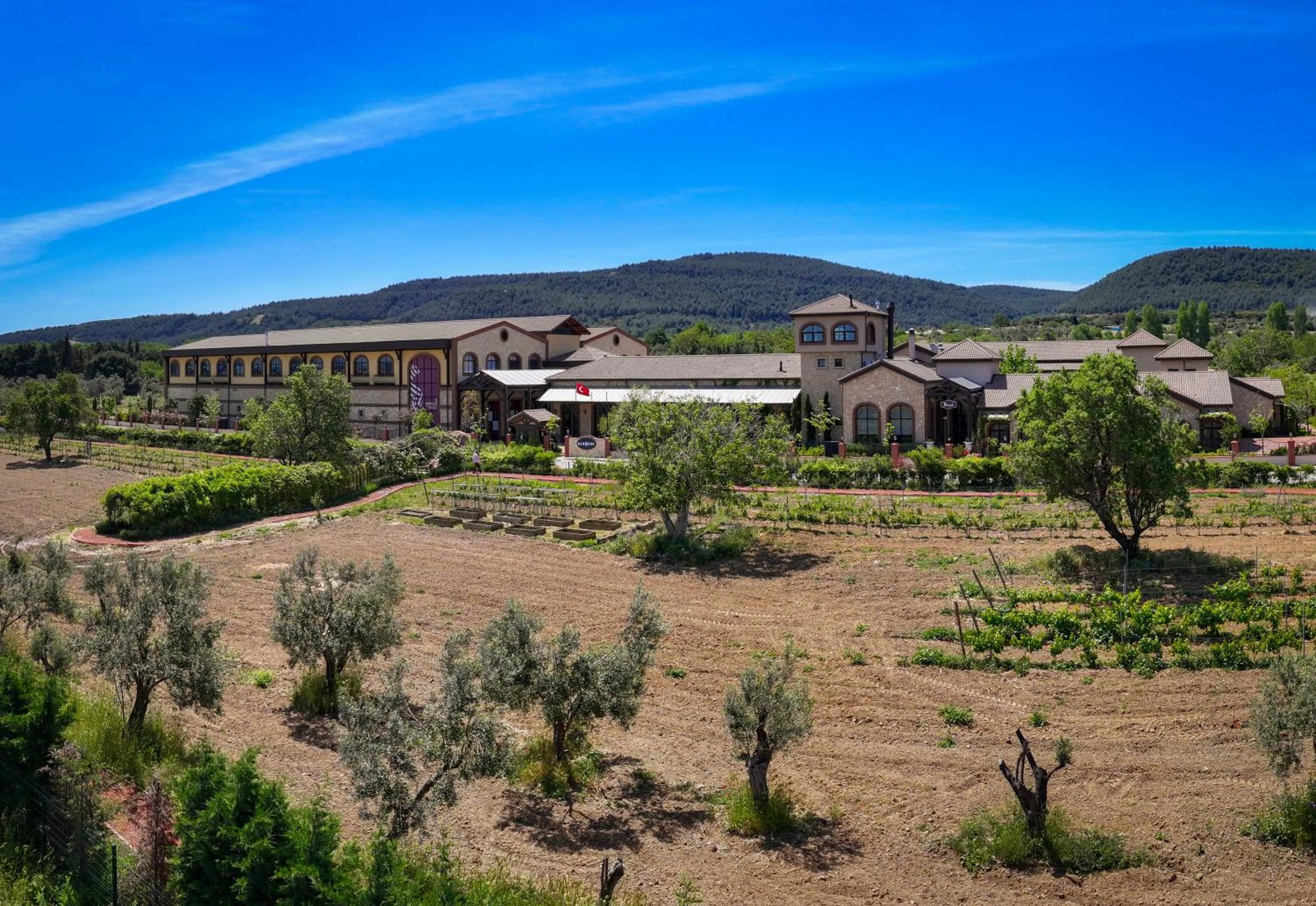 Property building in Bengodi Boutique Hotel