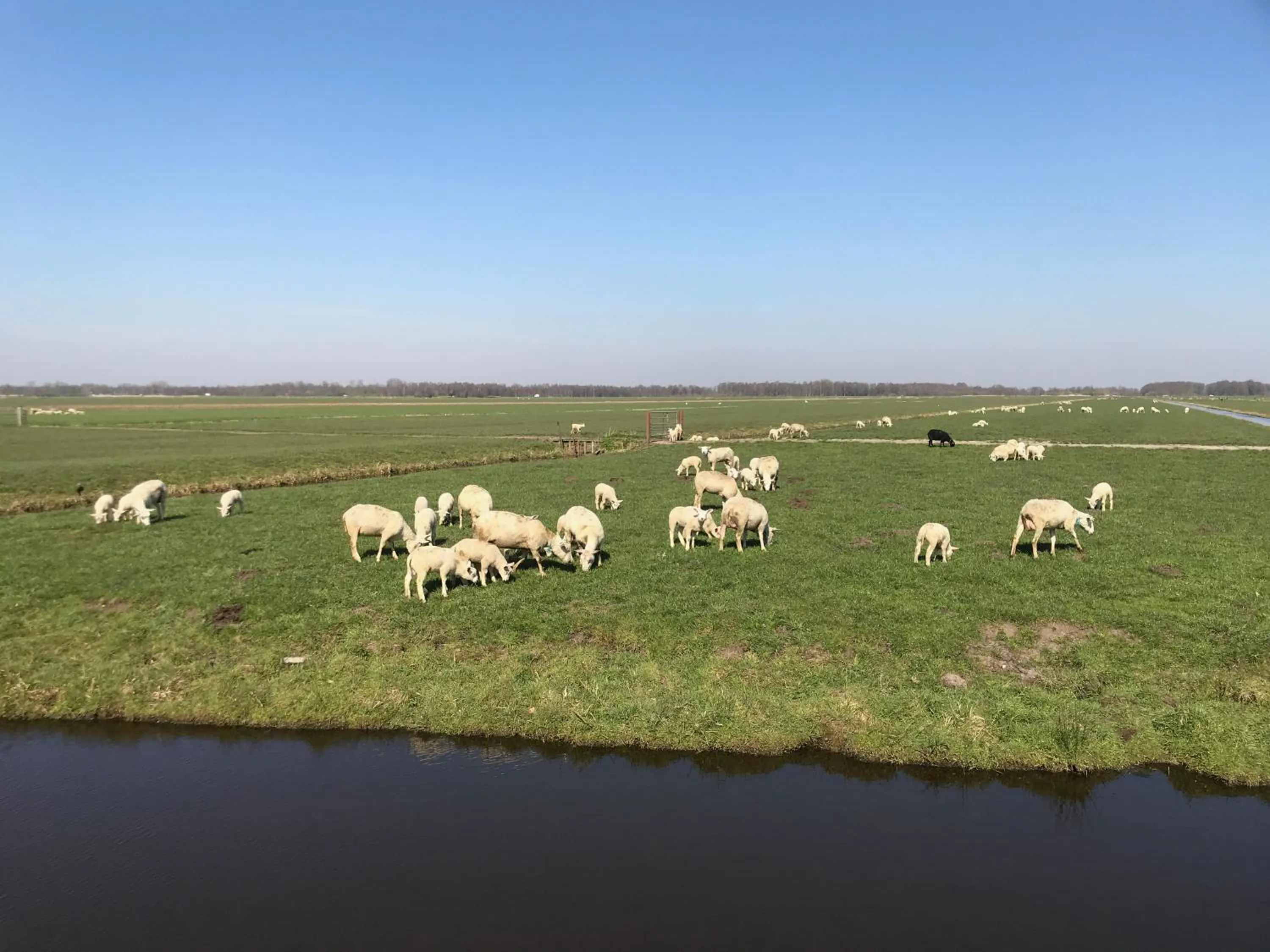 Natural landscape in De Kopstoof