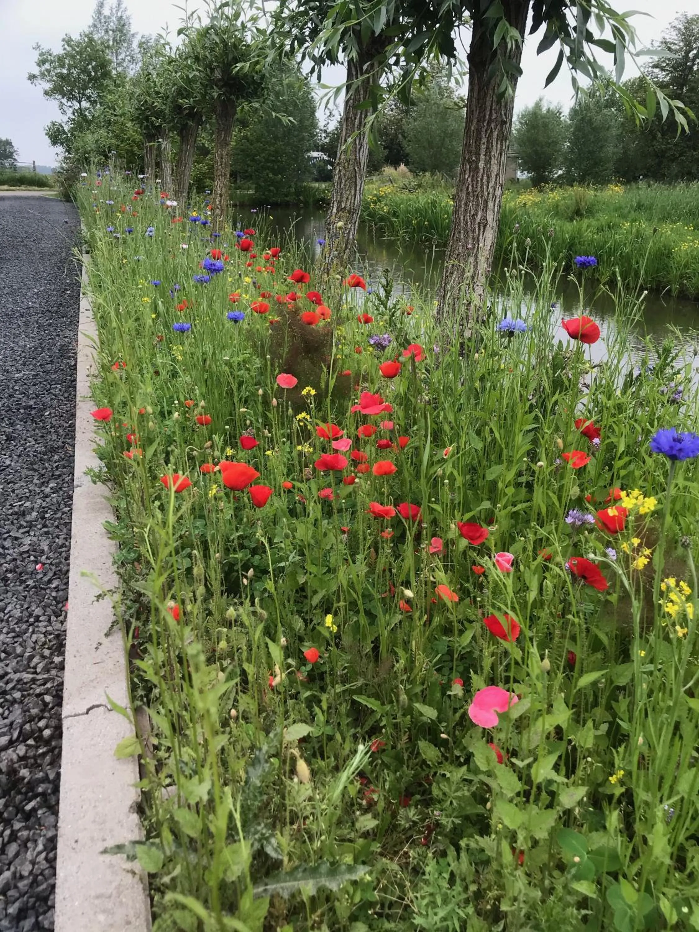 Garden in De Kopstoof