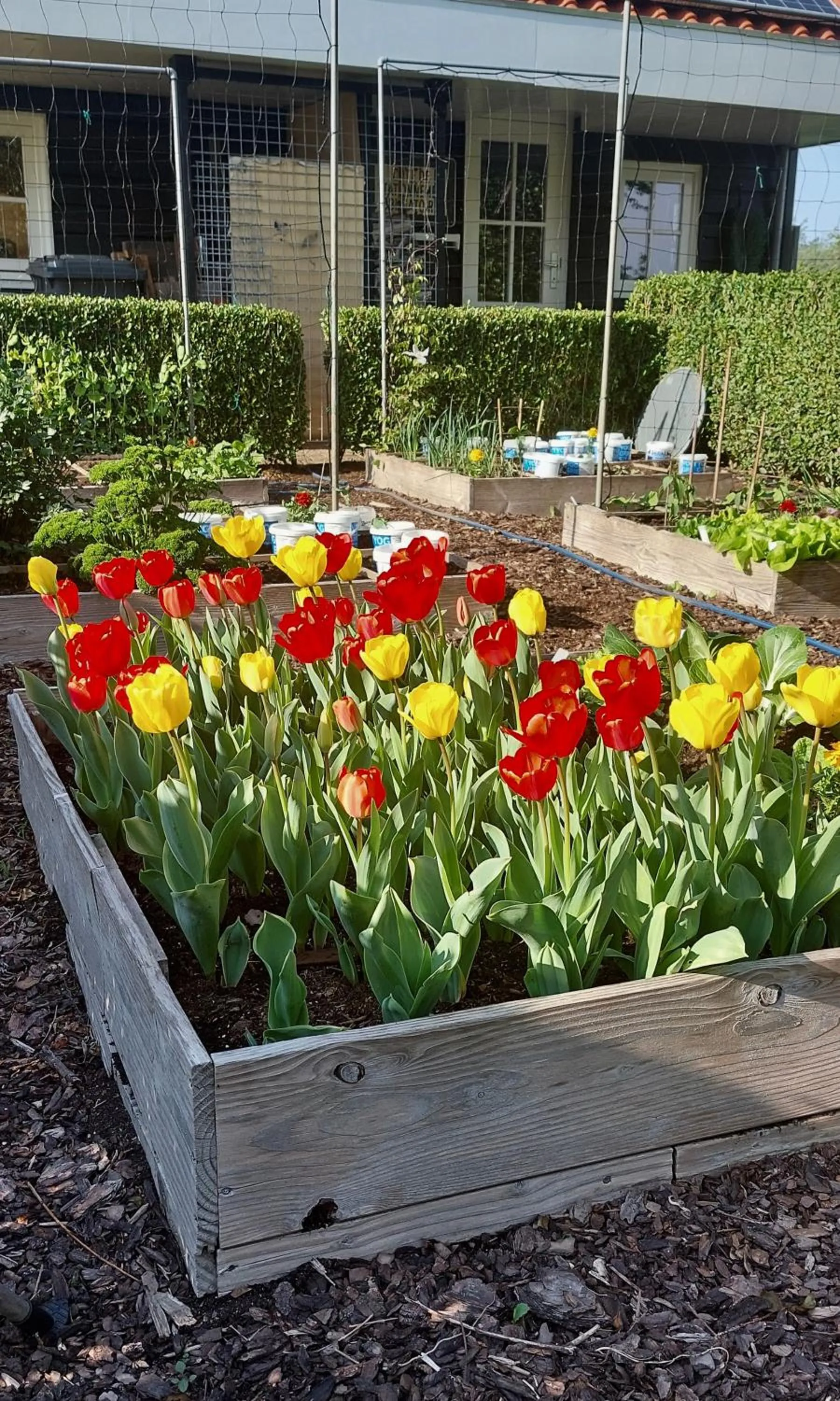 Patio in De Kopstoof