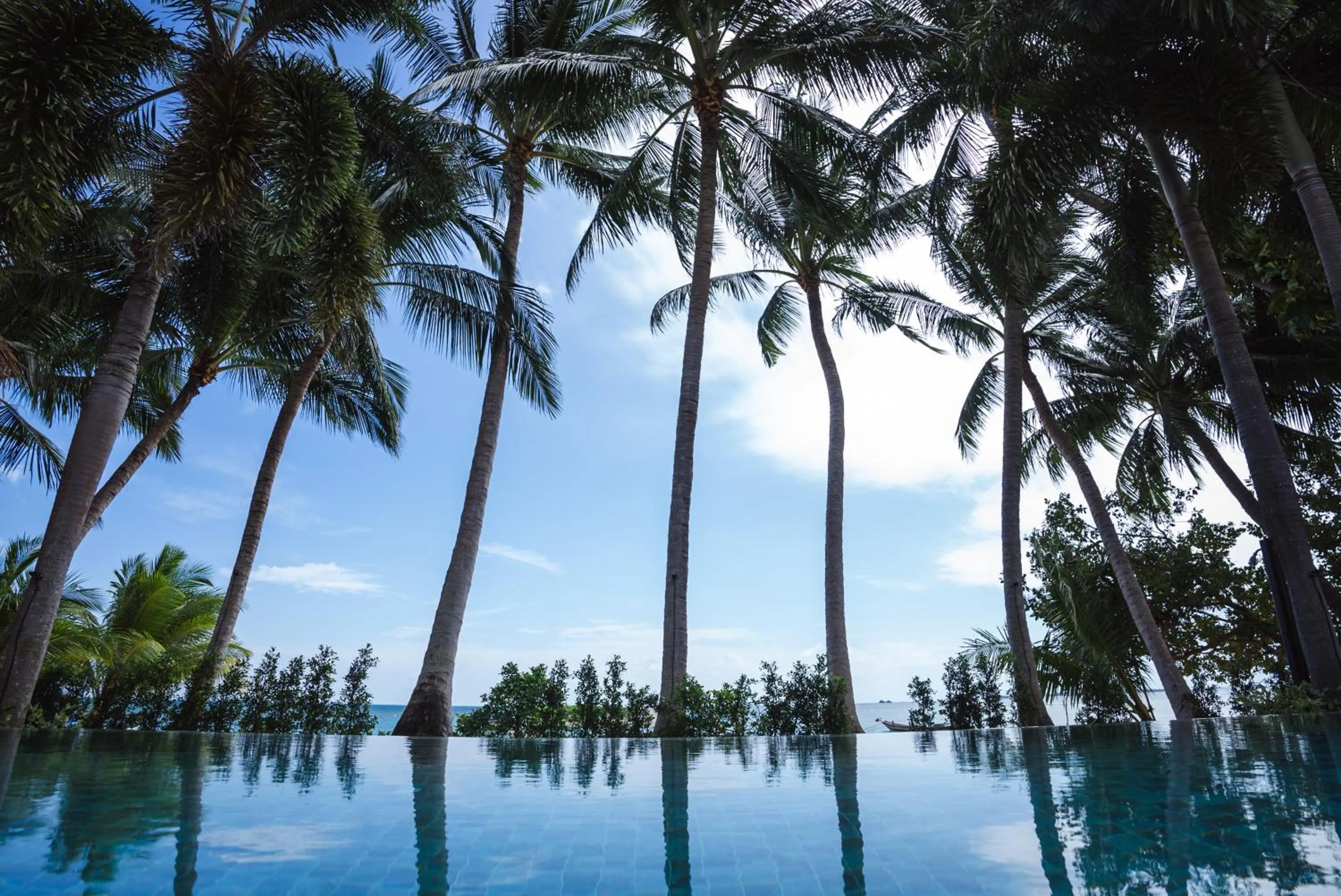 Pool view in Samahita Retreat