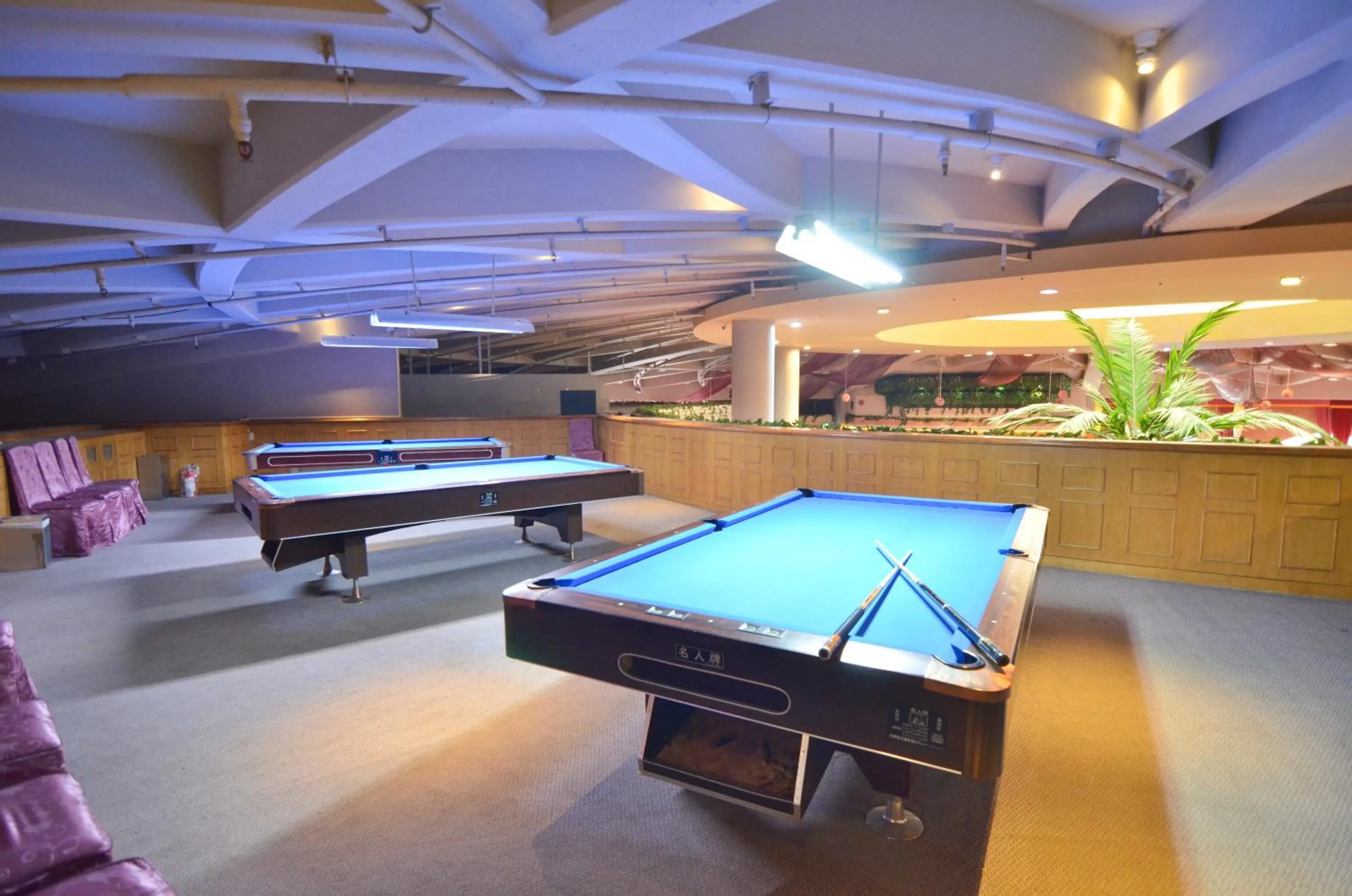 Billiard in Taoyuan Yuehua Hotel & Golf Club
