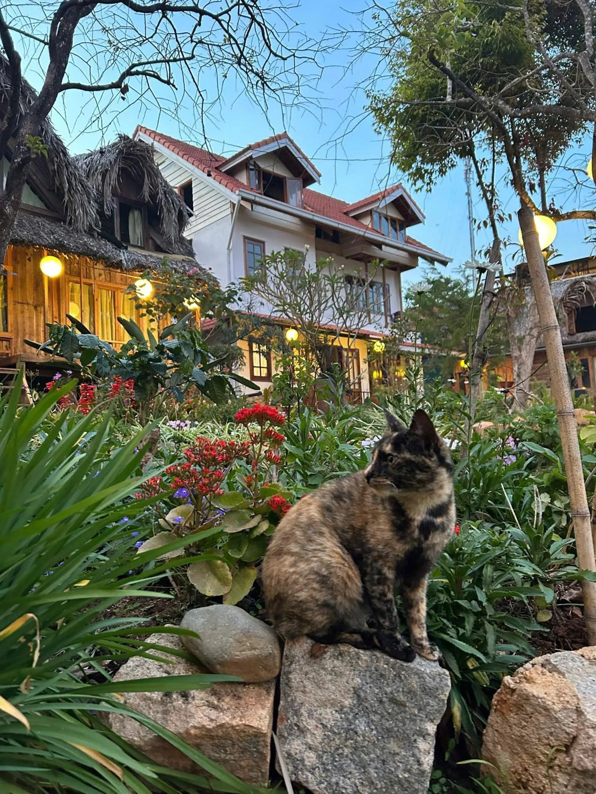 Đà Lạt Củi Homestay