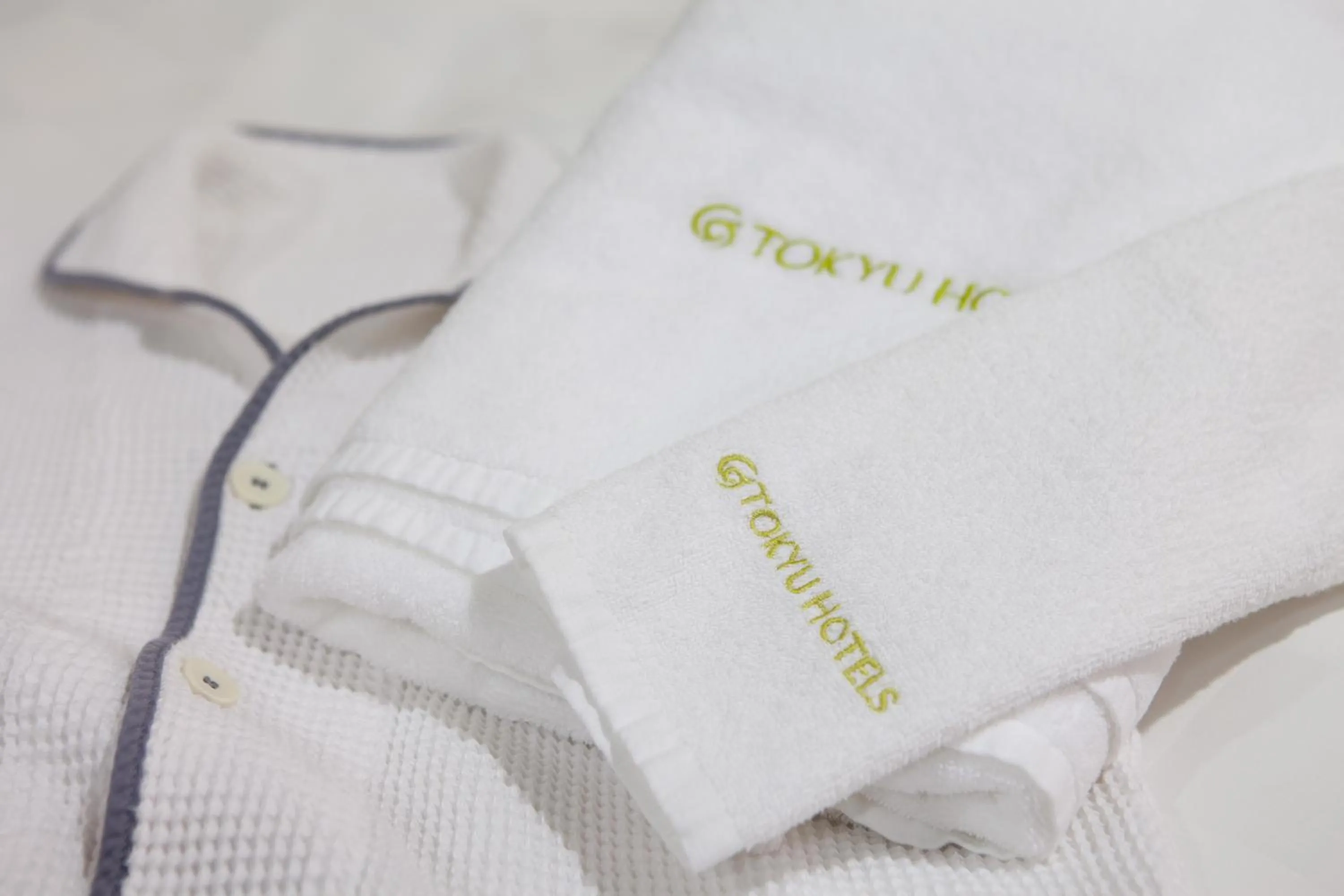 Other in Hiroshima Tokyu REI Hotel