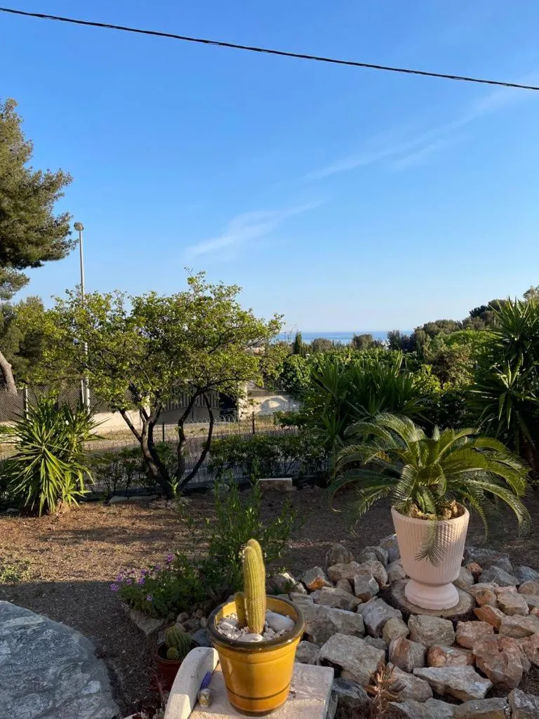 Garden in Villa Cocody