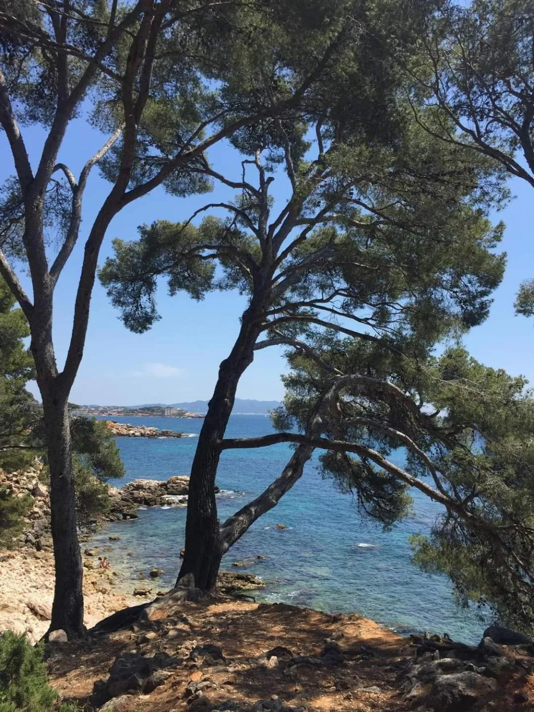 Natural landscape in Villa Cocody