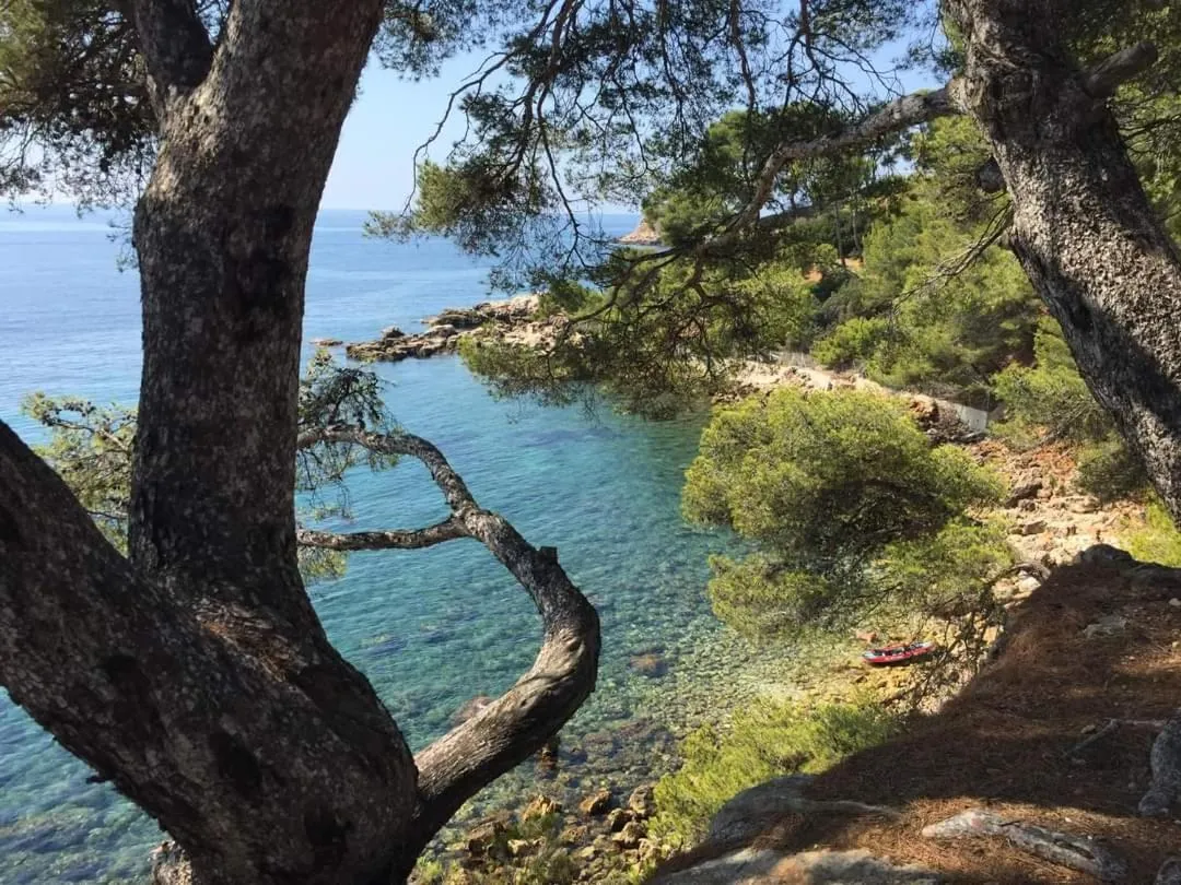 Hiking in Villa Cocody