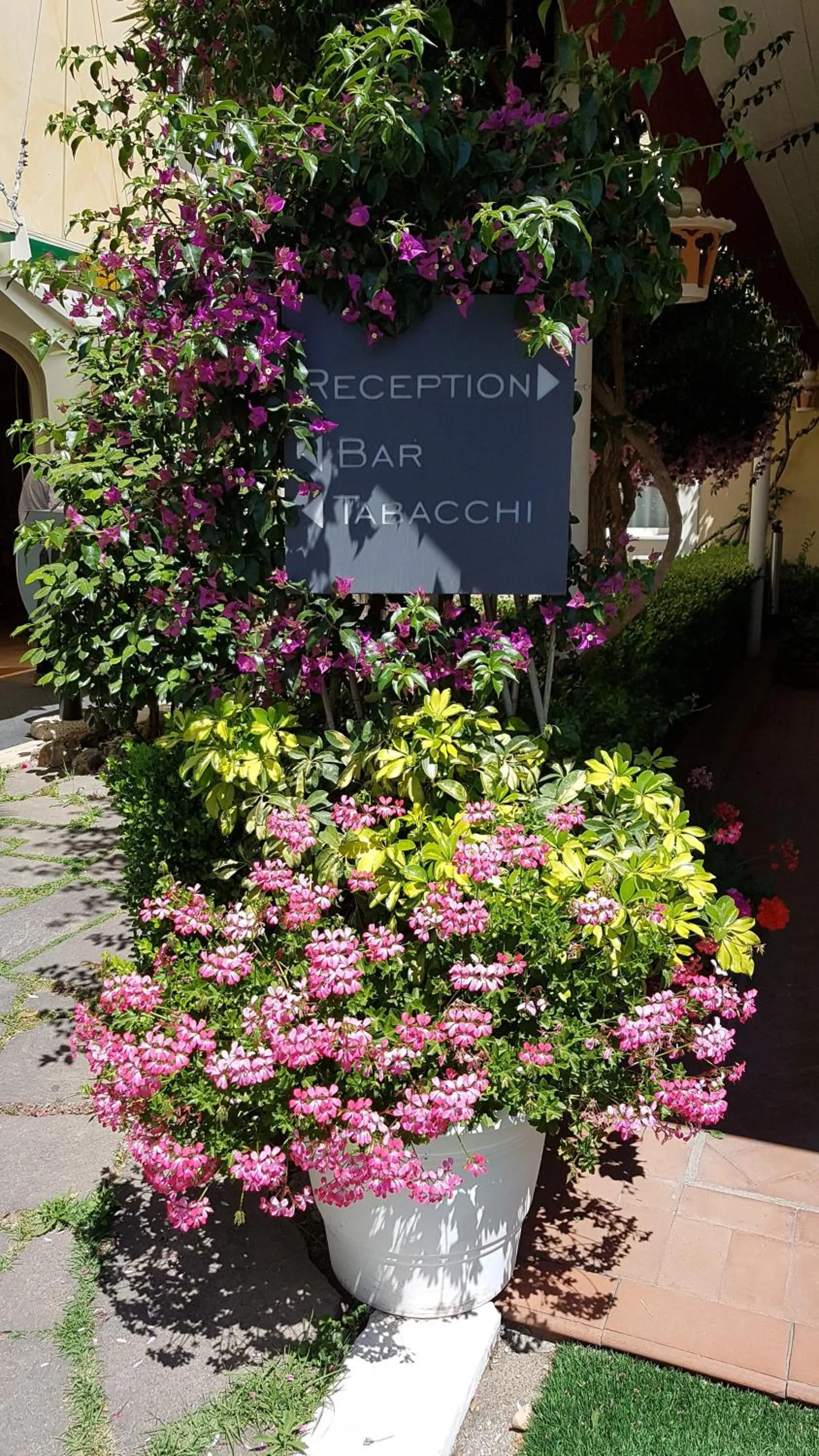 Garden in Hotel Mediterraneo