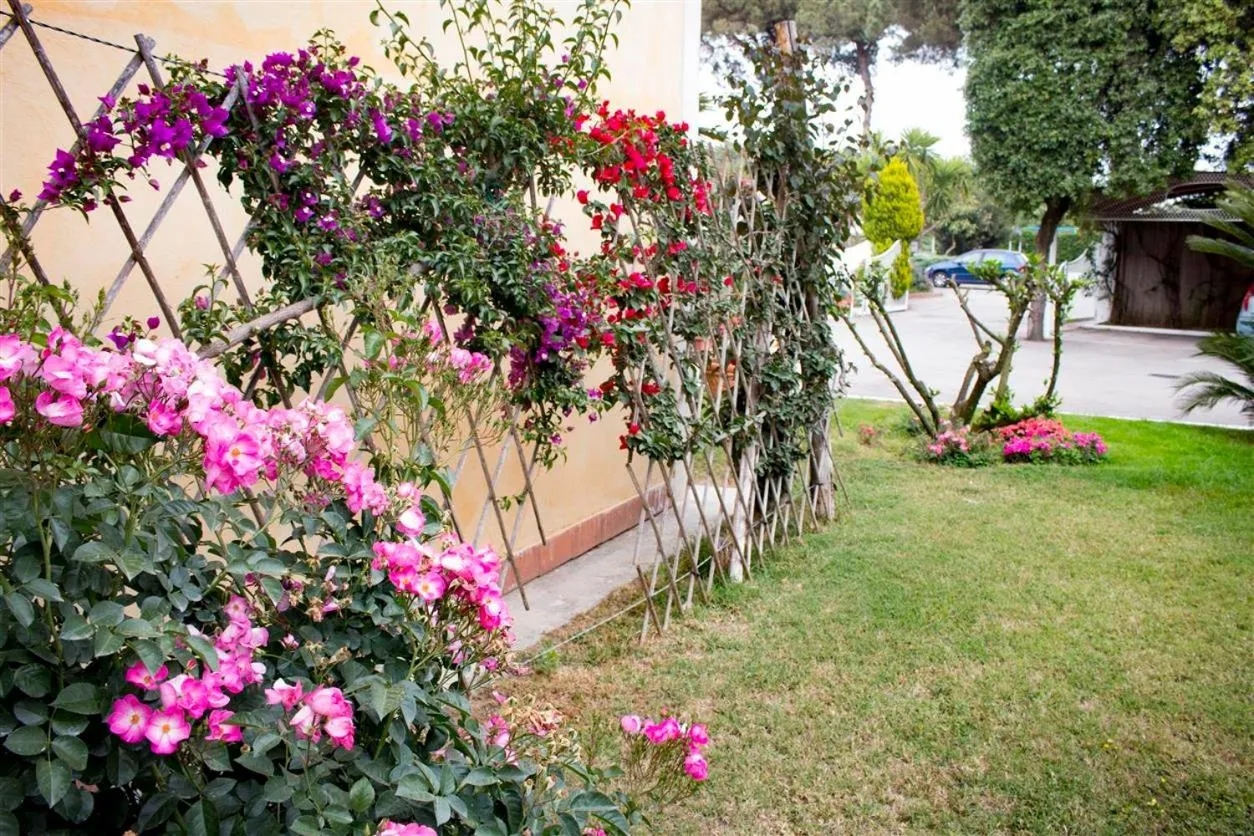 Garden view in Hotel Mediterraneo