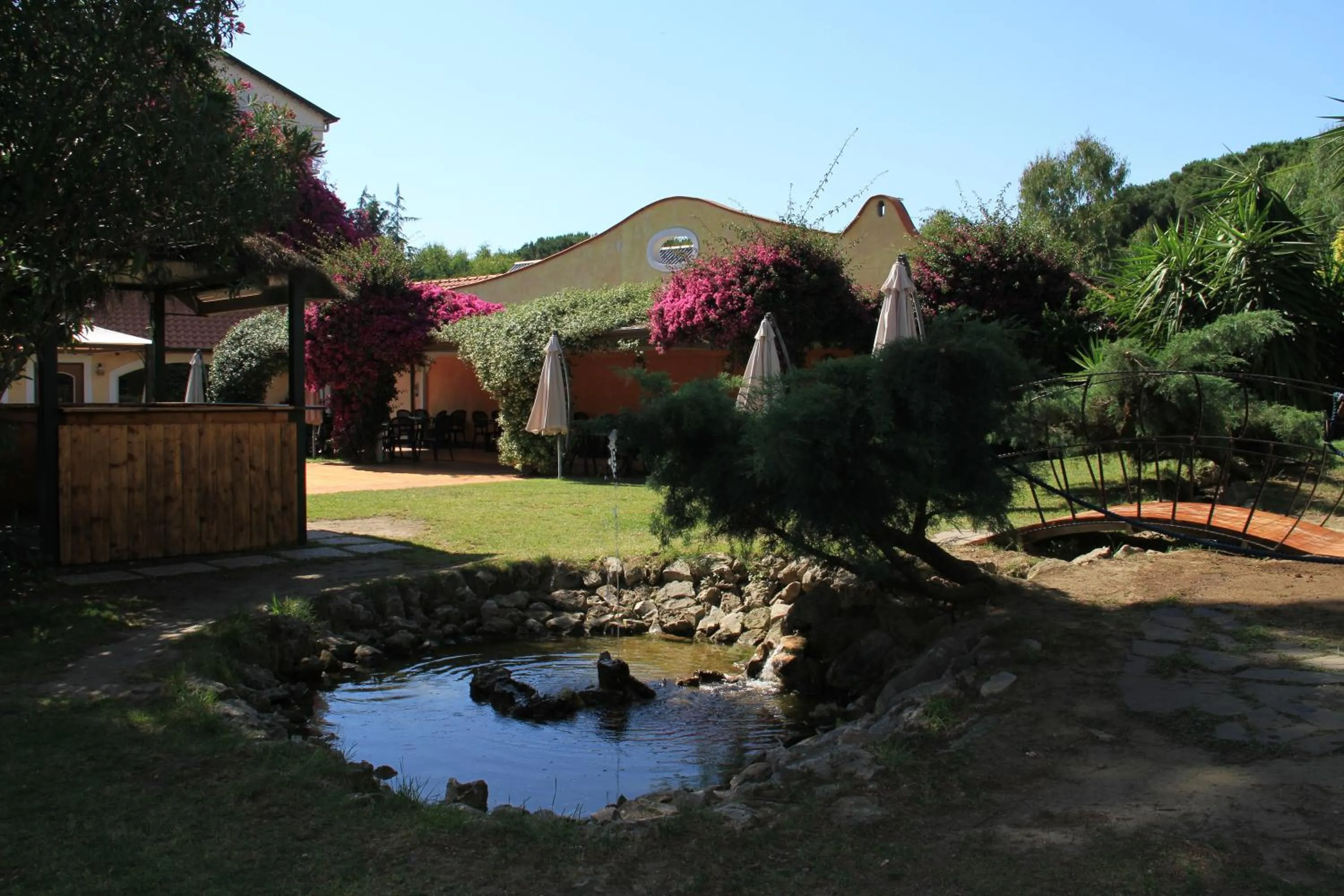 Garden in Hotel Mediterraneo
