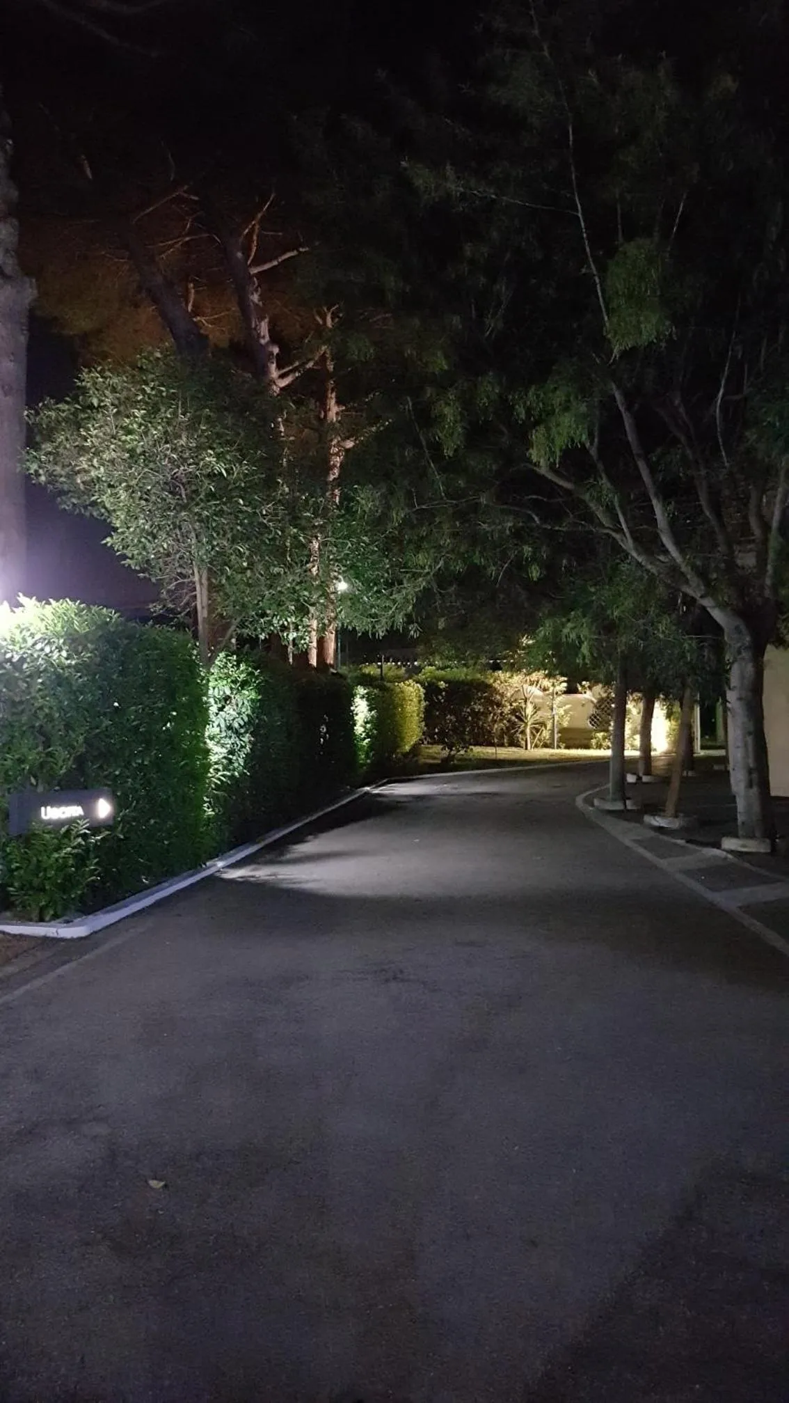 Garden in Hotel Mediterraneo