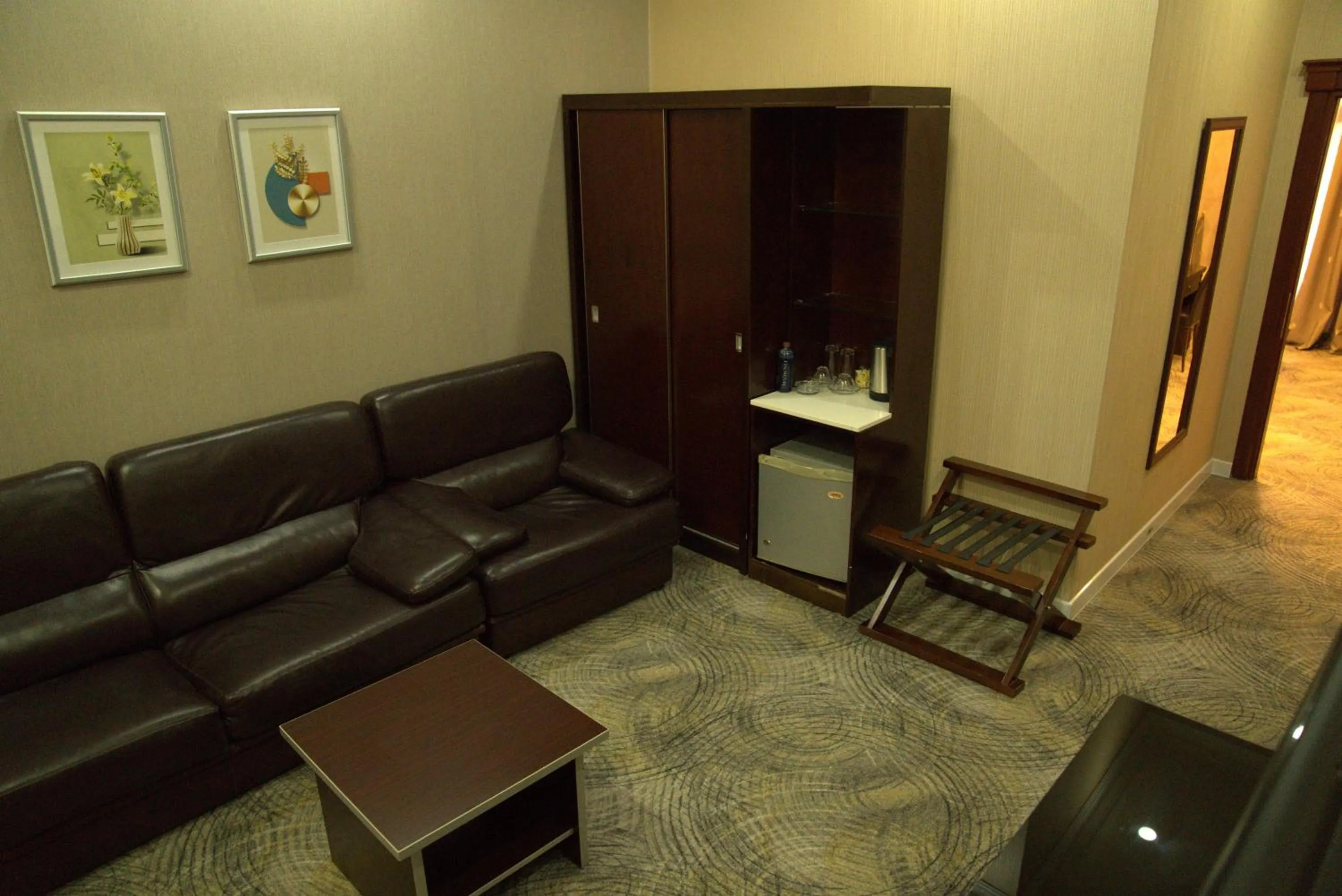 TV and multimedia in Premier Hotel Baku