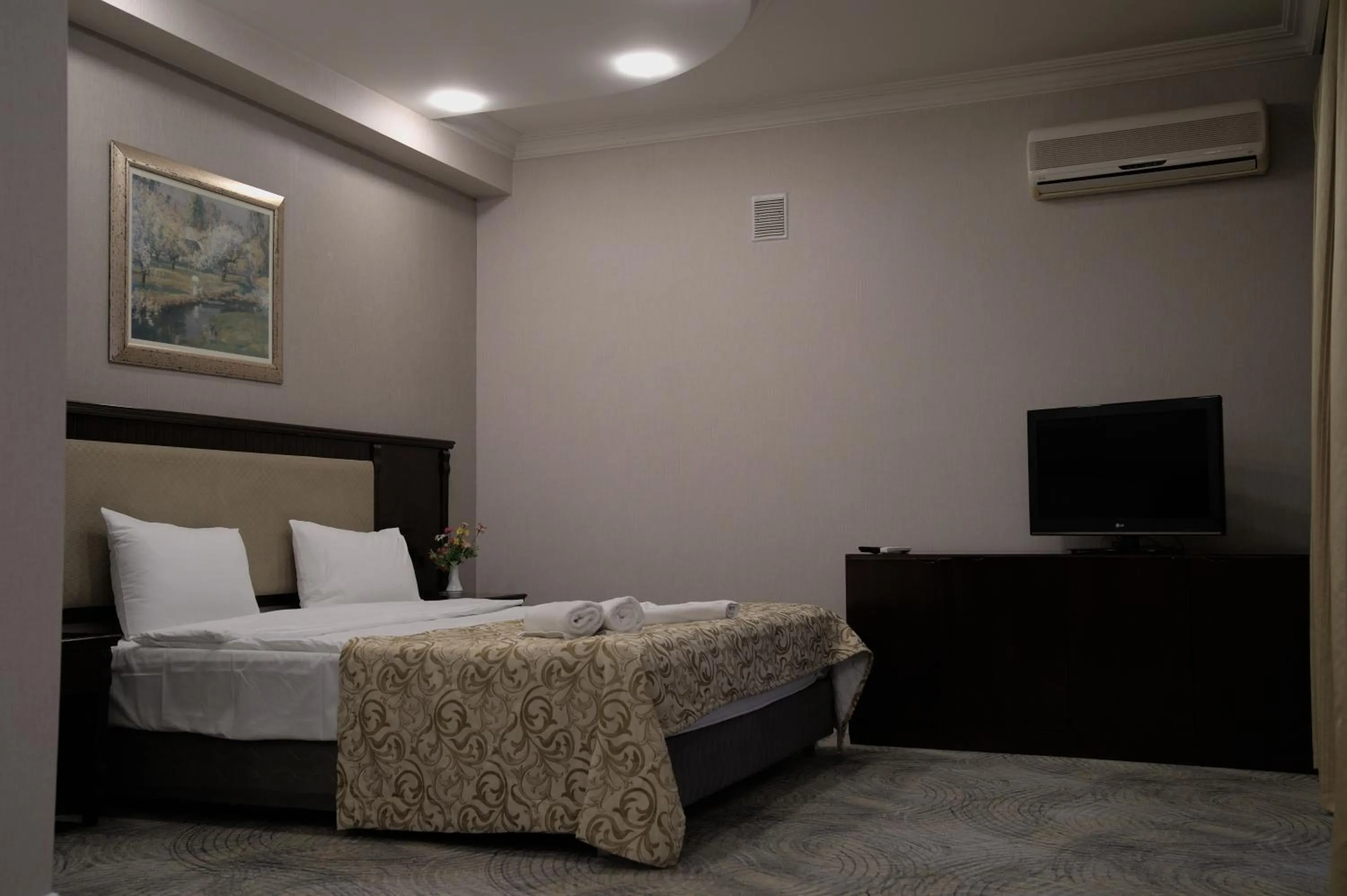 Communal lounge/ TV room in Premier Hotel Baku