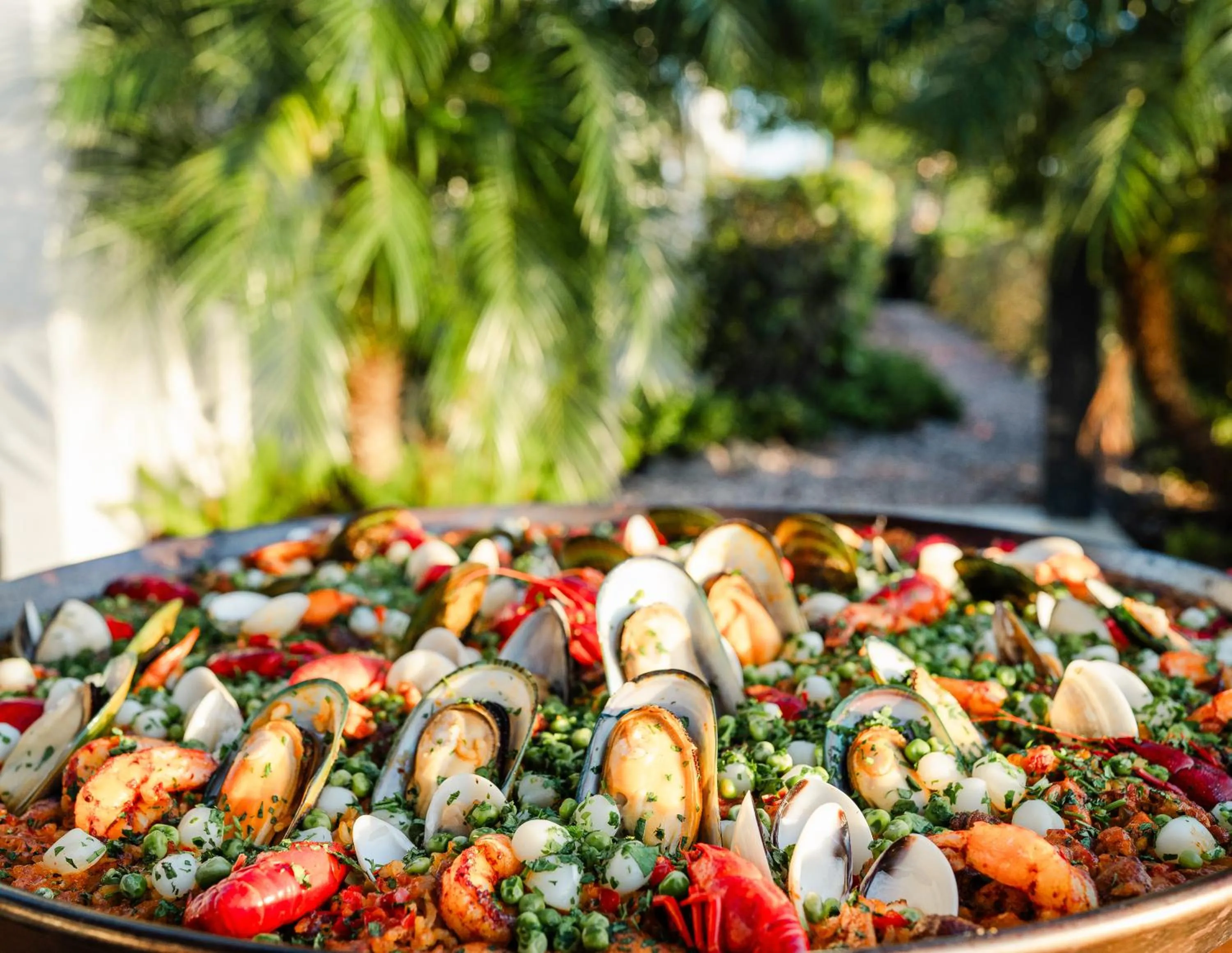 Food close-up in Sunset Reef St. Kitts