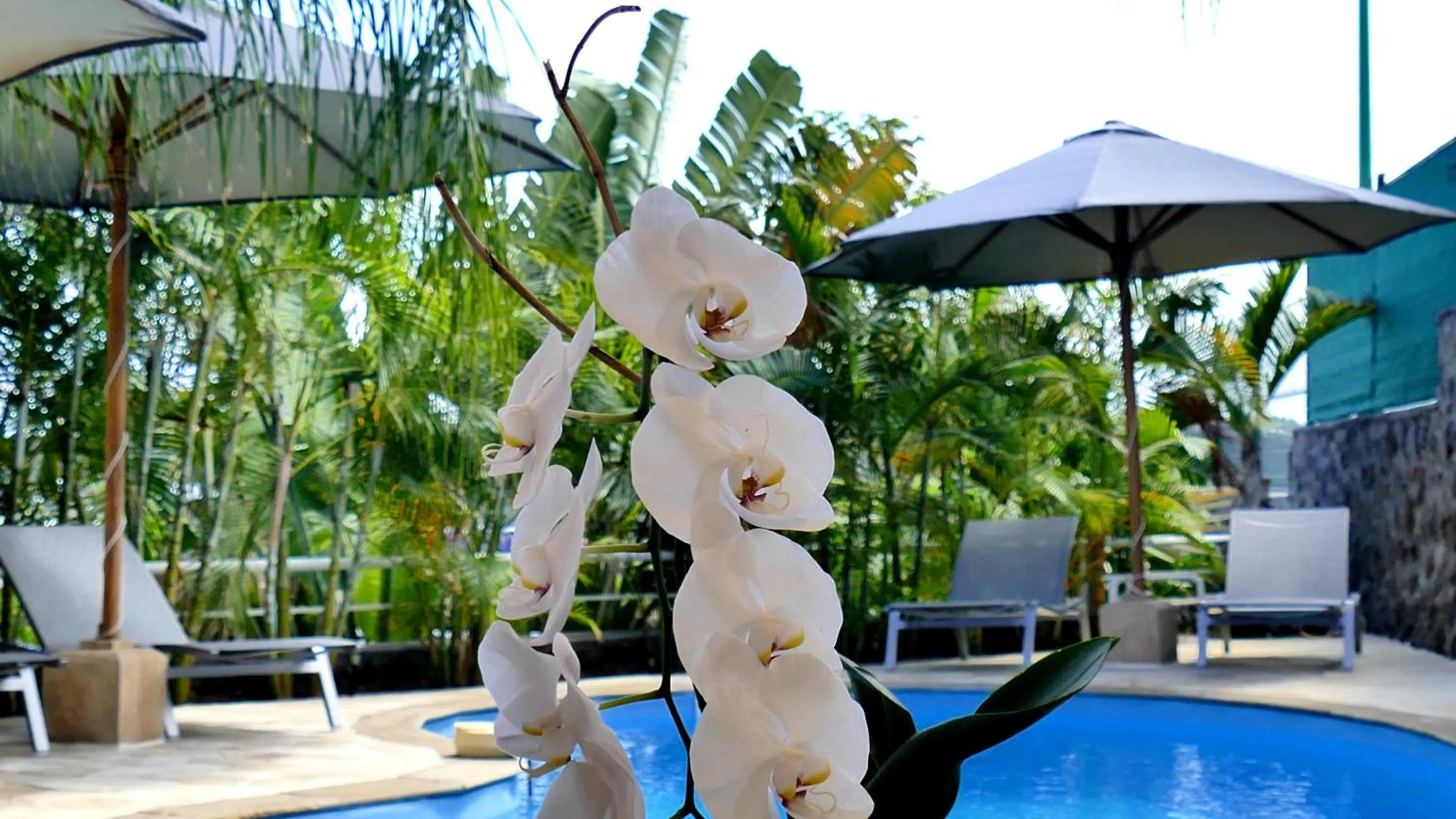 Swimming pool in Le Kerveguen