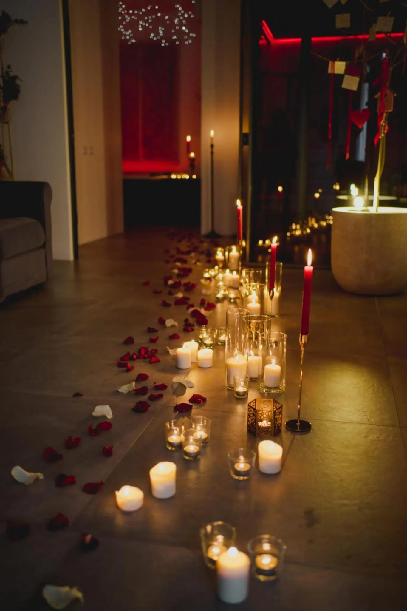 Nest House & Relax