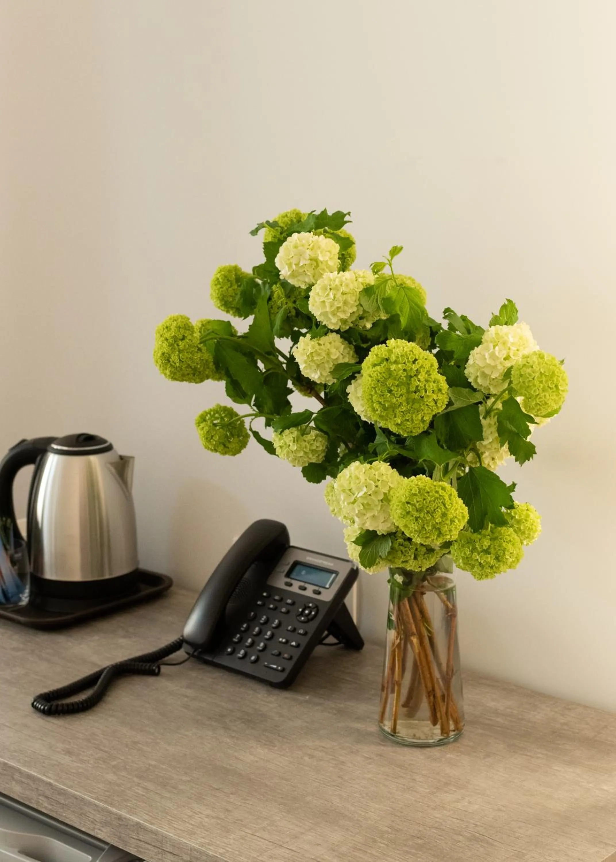 Coffee/tea facilities in Downtown Suites Yerevan