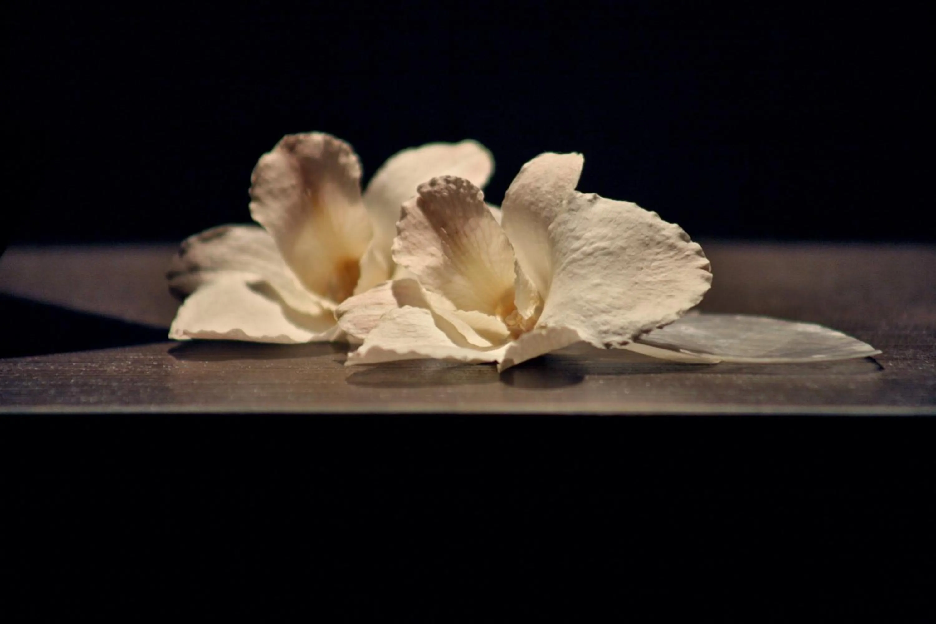 Spa and wellness centre/facilities in Hotel & SPA Waldecker Hof