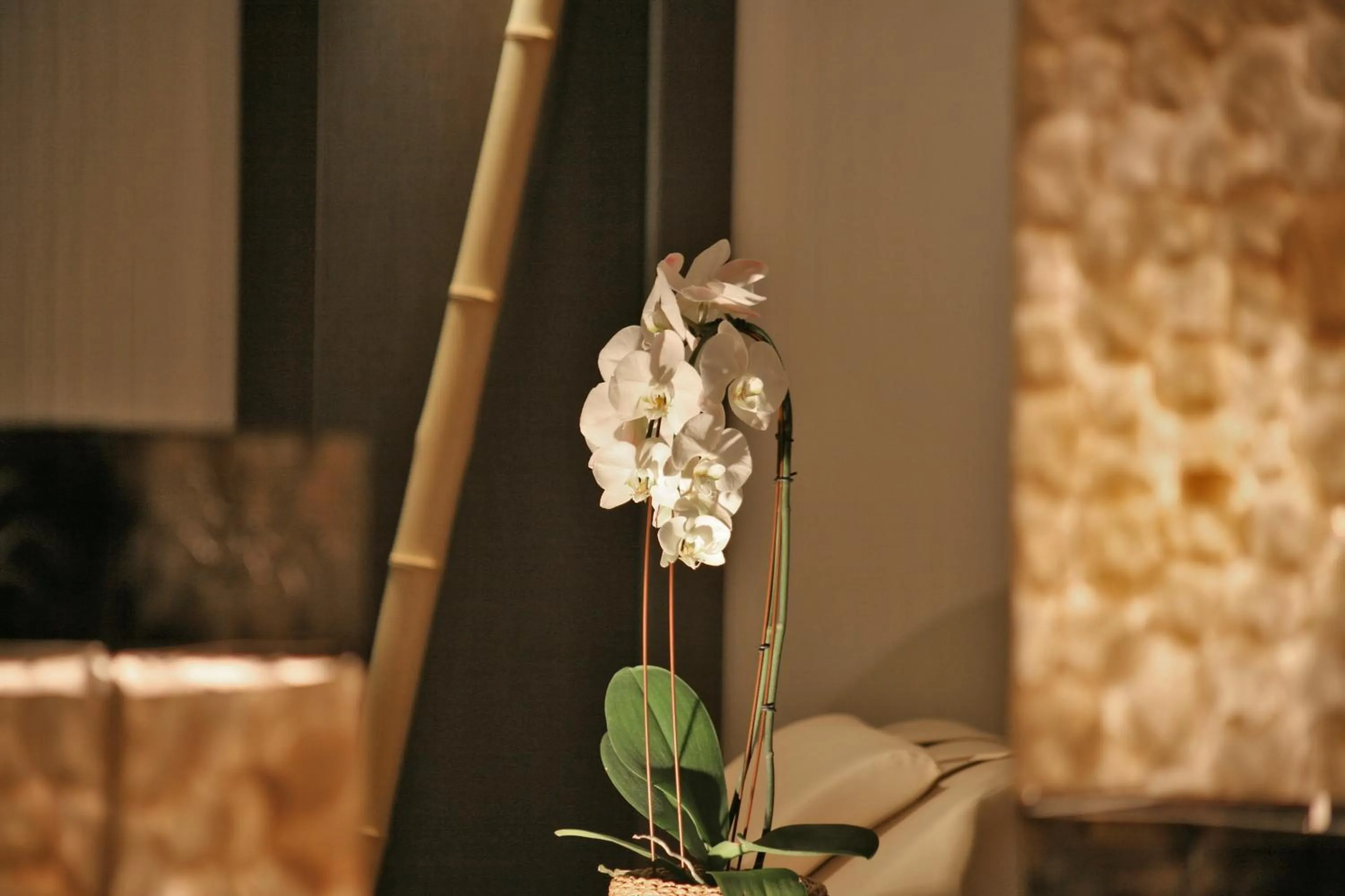 Spa and wellness centre/facilities in Hotel & SPA Waldecker Hof