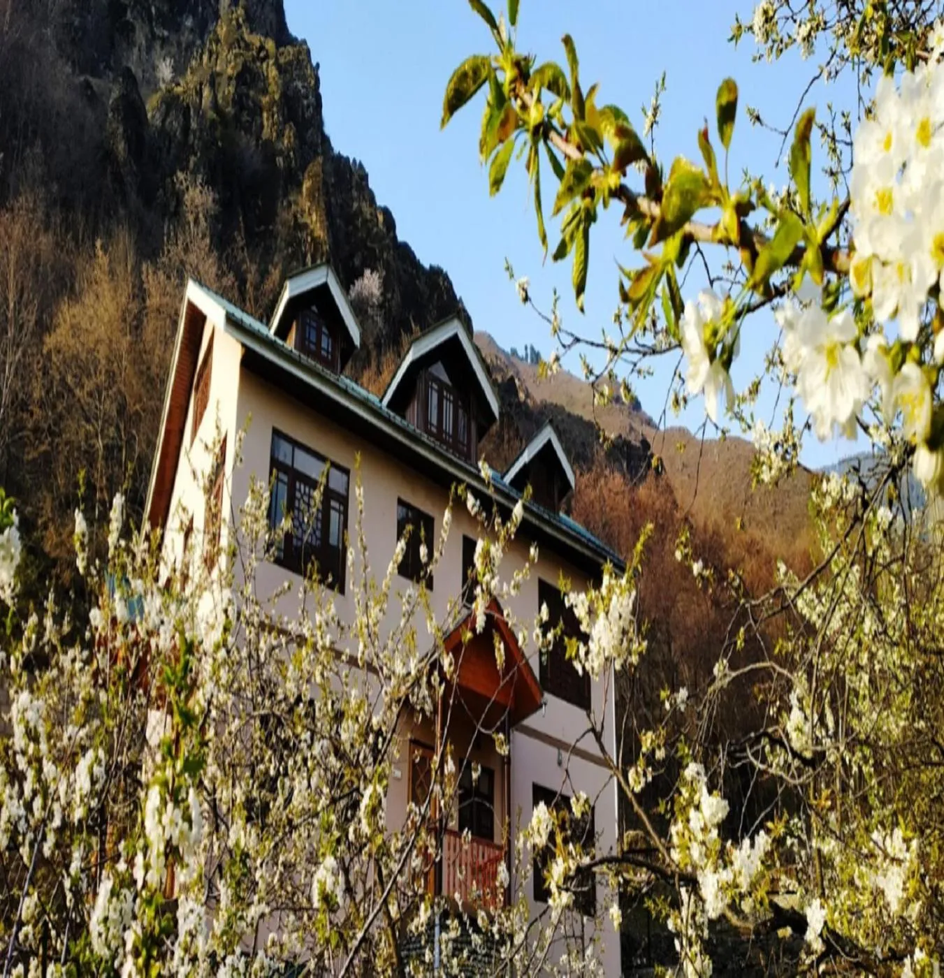 Natural landscape in Cherrytree Resort