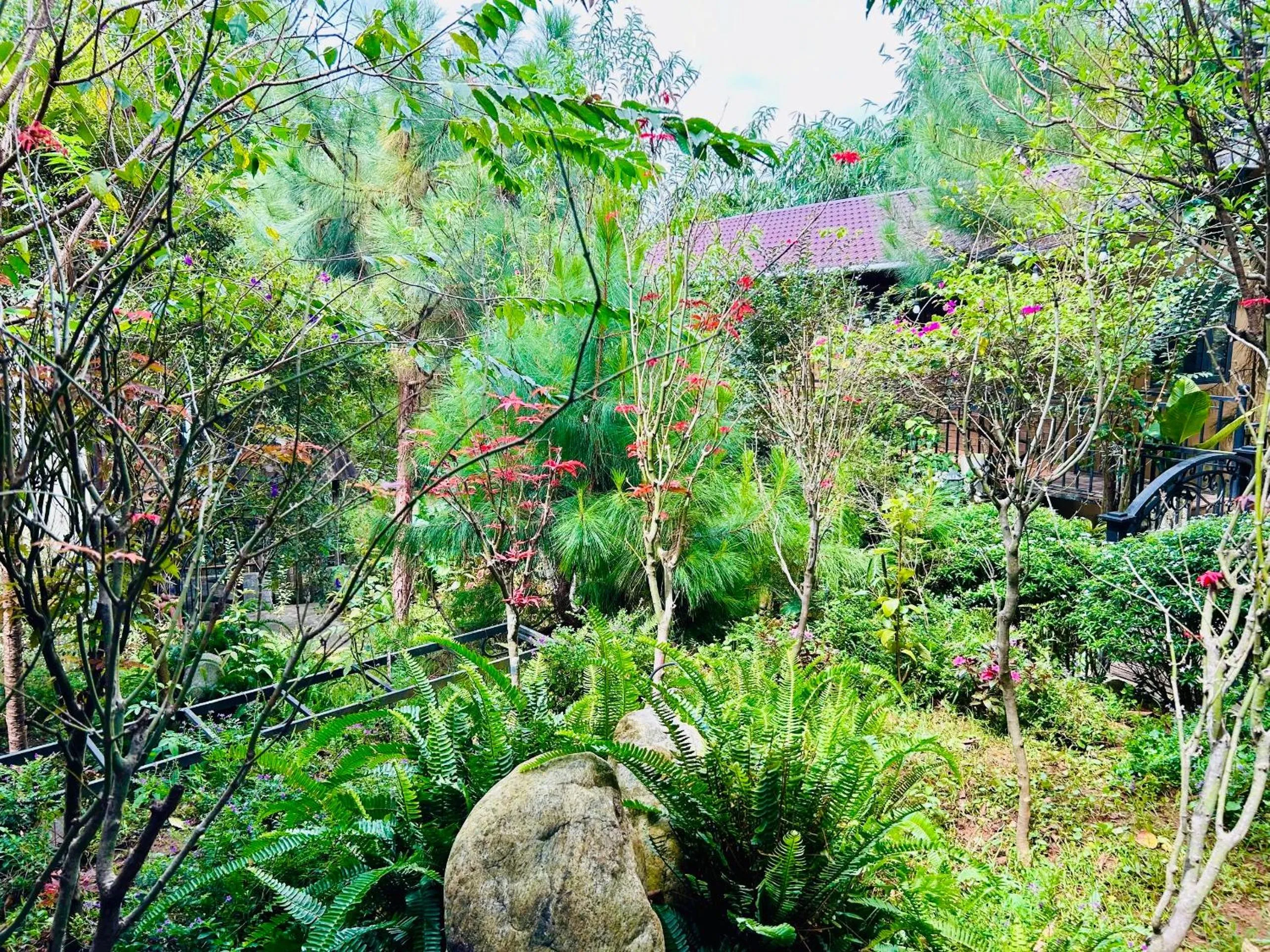 BAZAN HOME - Hotel & Bungalow