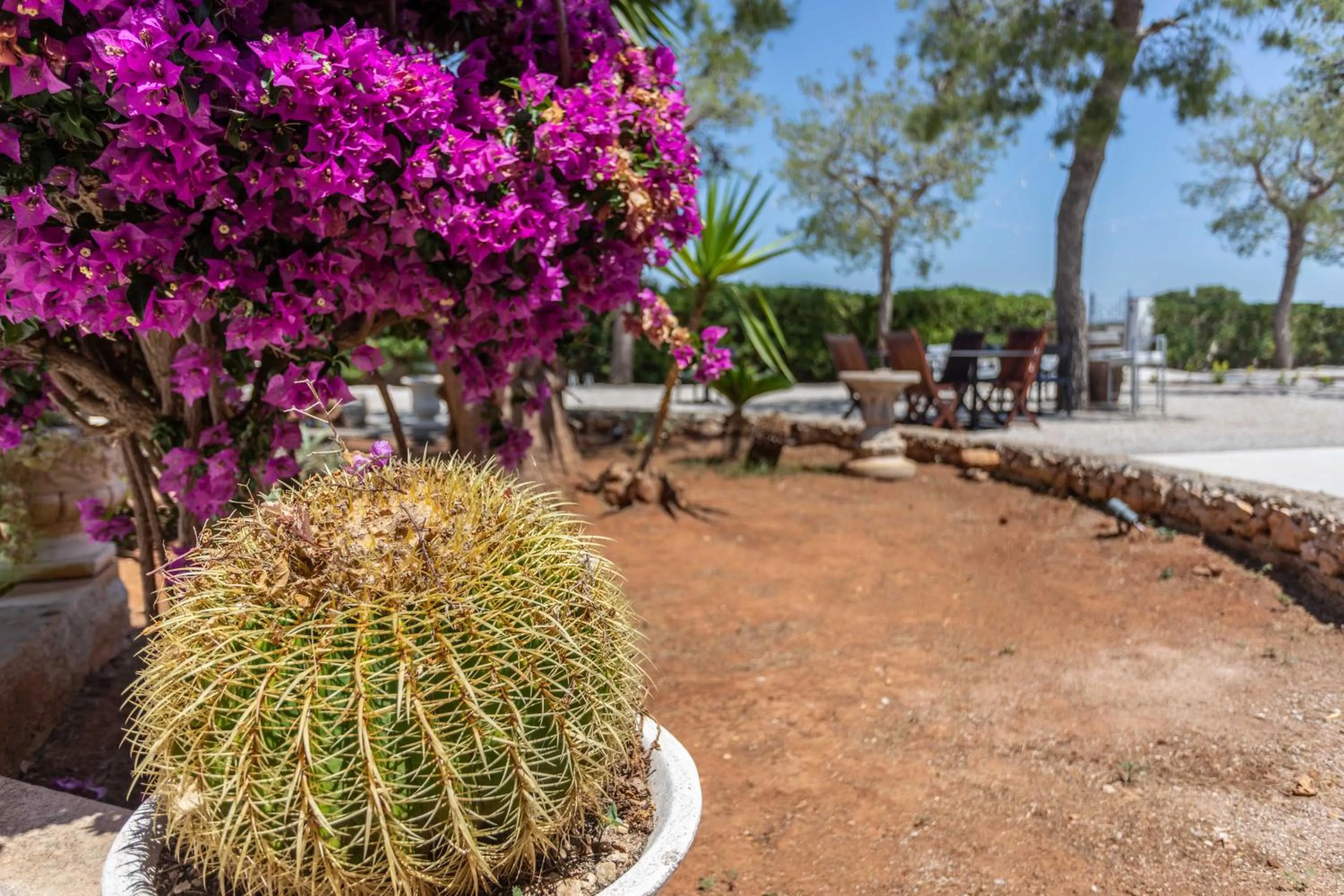 Garden in B&B Villa Massimo