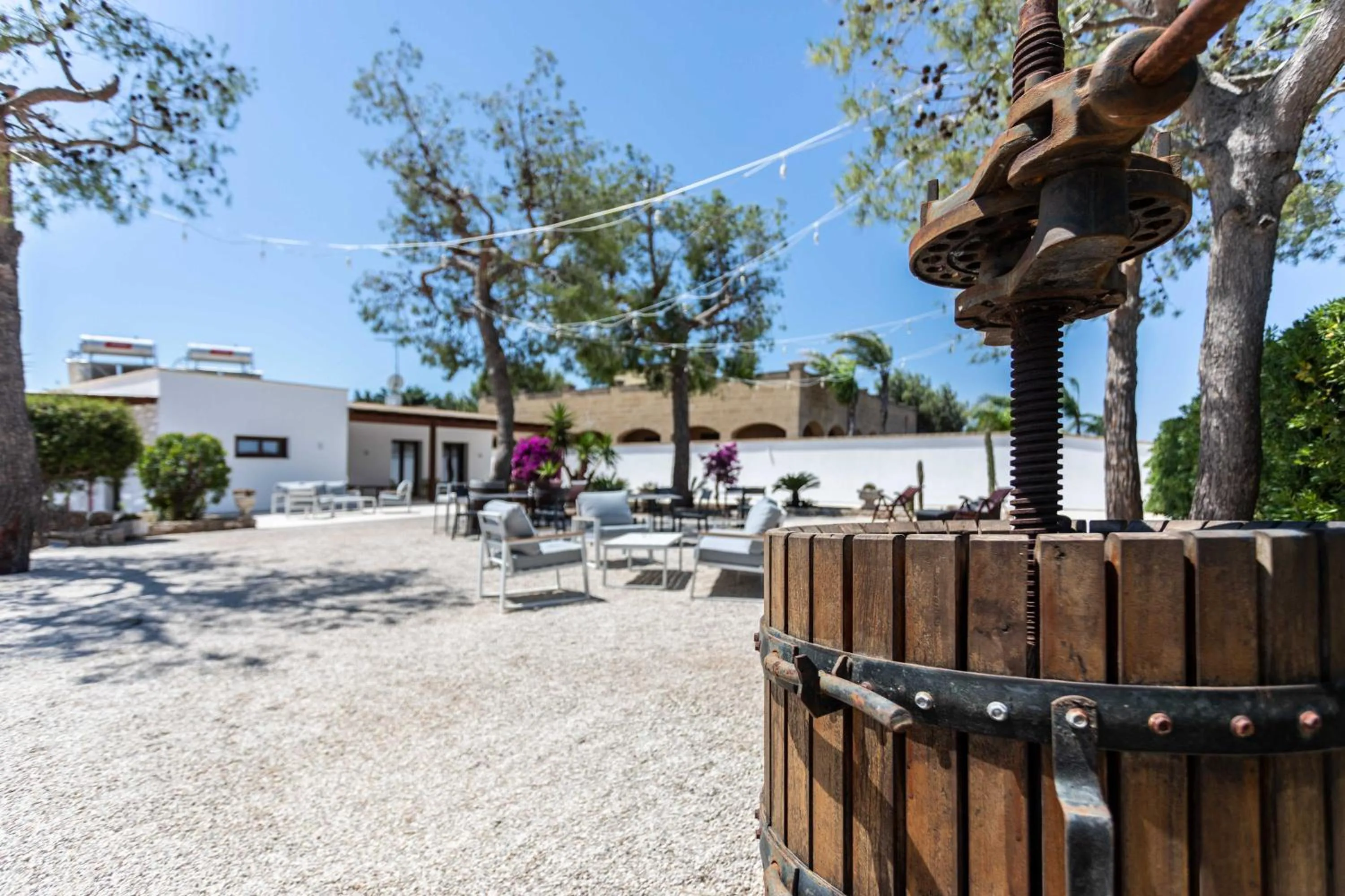 Garden in B&B Villa Massimo